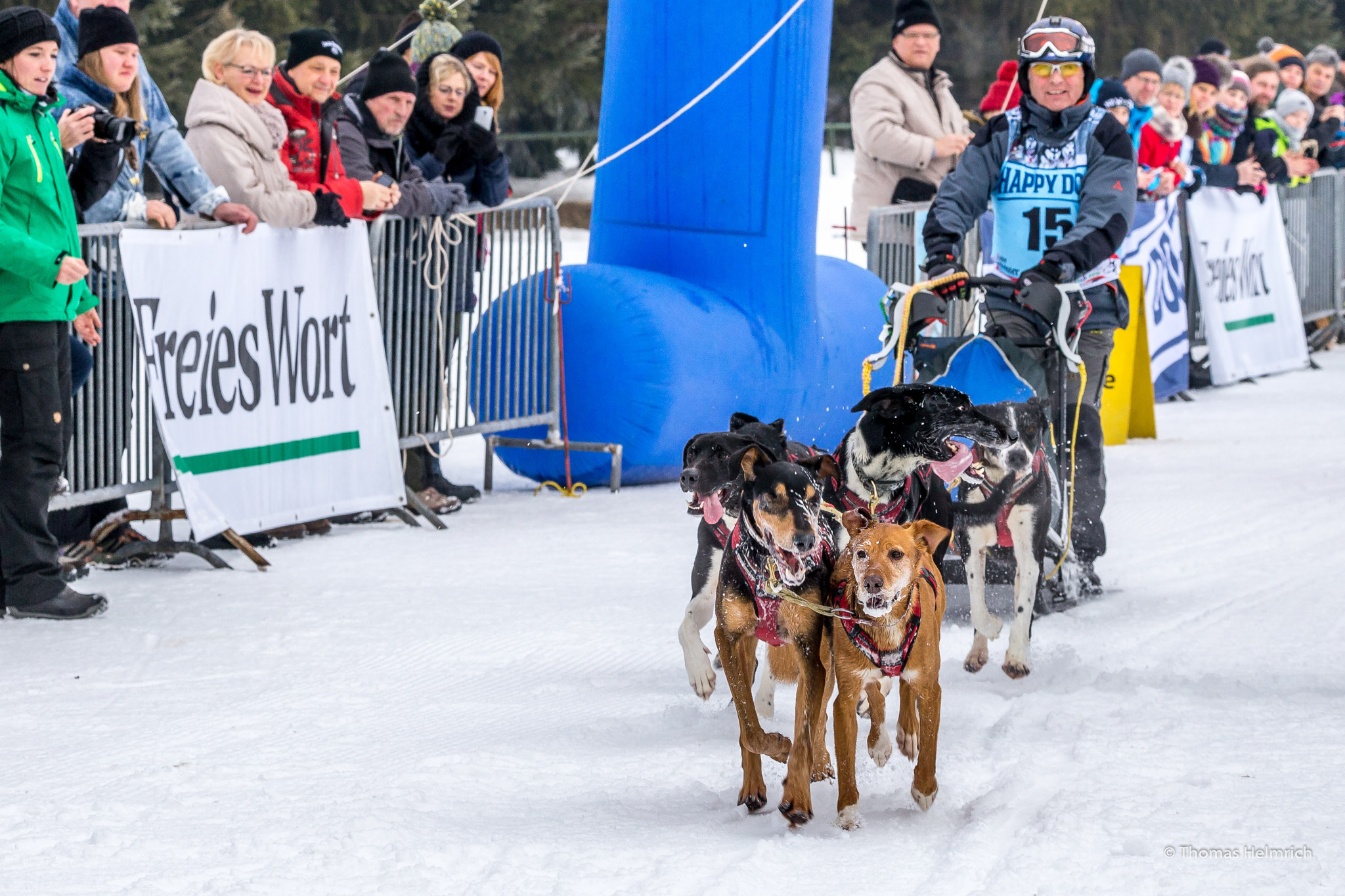 150-600mm F5-6.3 DG OS HSM | Contemporary 015 sample photo. Schlittenhunderennen photography