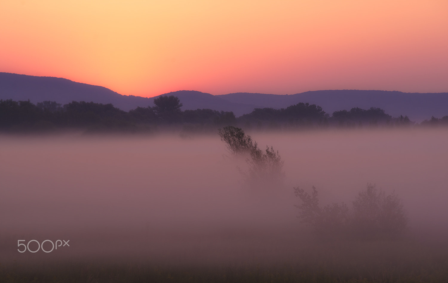 Sony Alpha DSLR-A900 sample photo. Before the sun rises photography