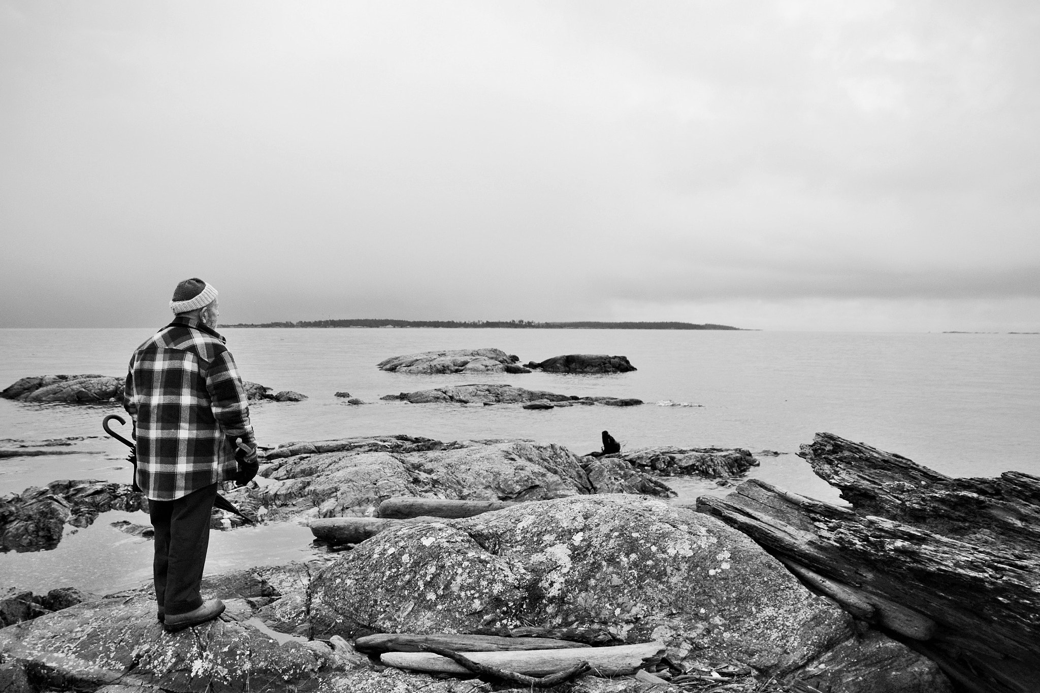 Nikon D3100 + Sigma 17-70mm F2.8-4 DC Macro OS HSM sample photo. Father searching for signs of wildlife at sea photography