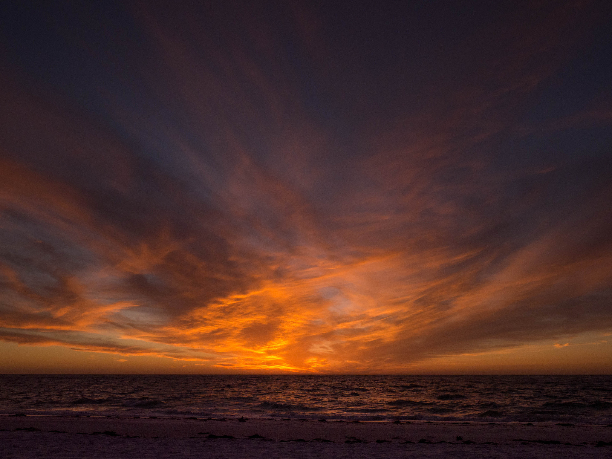 Olympus OM-D E-M1 Mark II + Olympus M.Zuiko Digital ED 7-14mm F2.8 PRO sample photo. Innocent sunset becomes spooky... photography