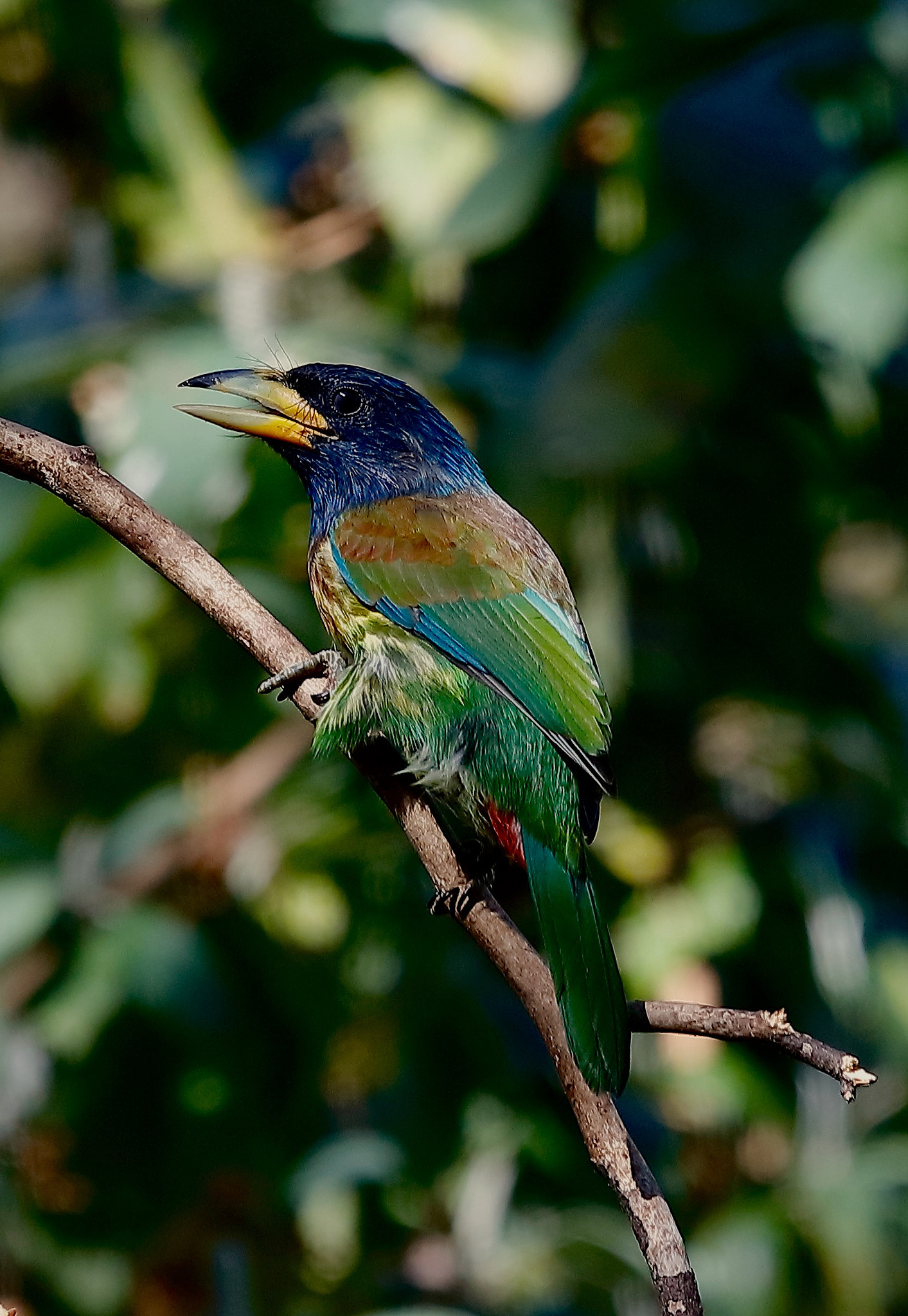 Canon EF 100-400mm F4.5-5.6L IS USM sample photo