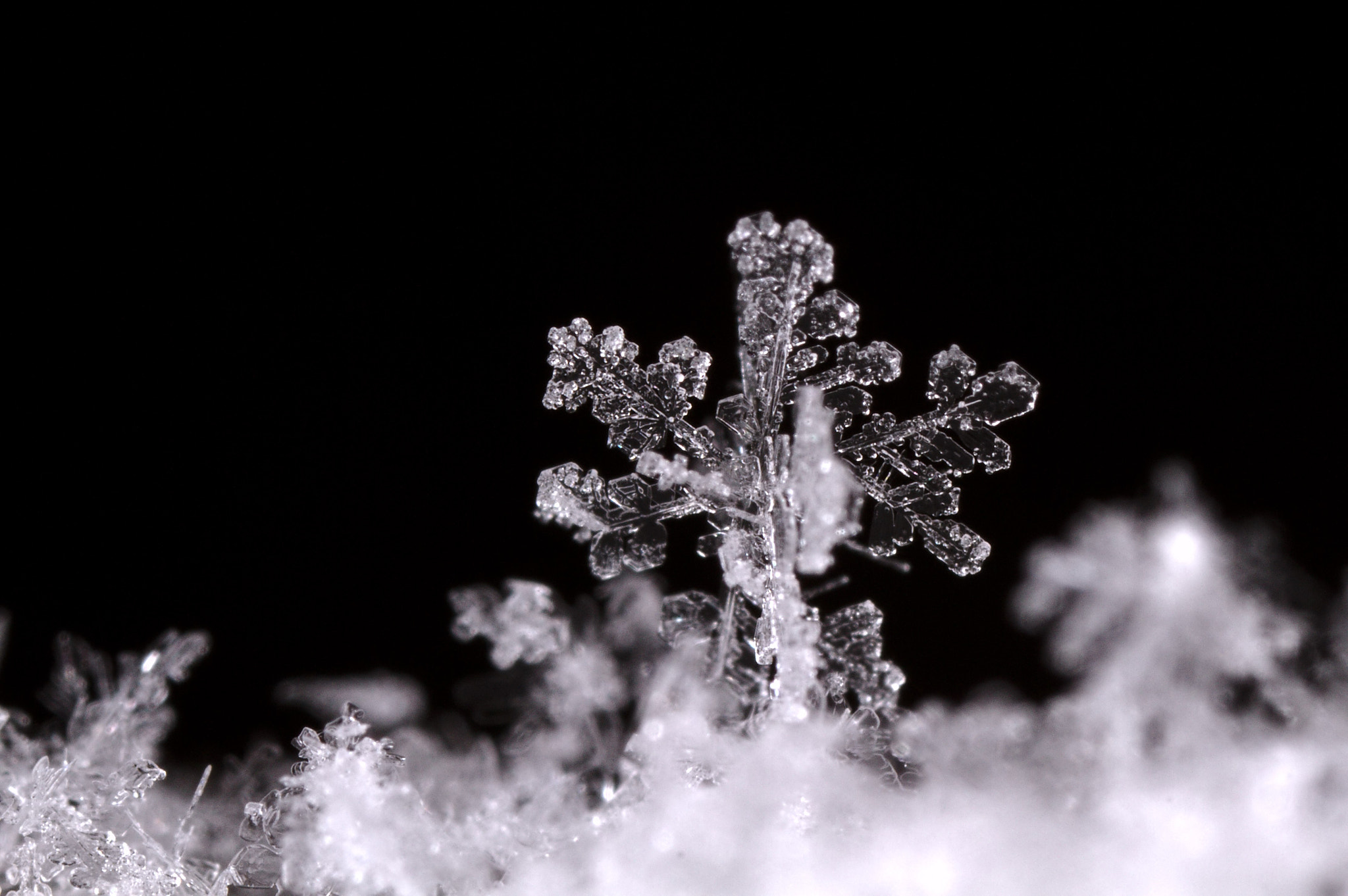 Canon MP-E 65mm F2.5 1-5x Macro Photo sample photo. Snow photography