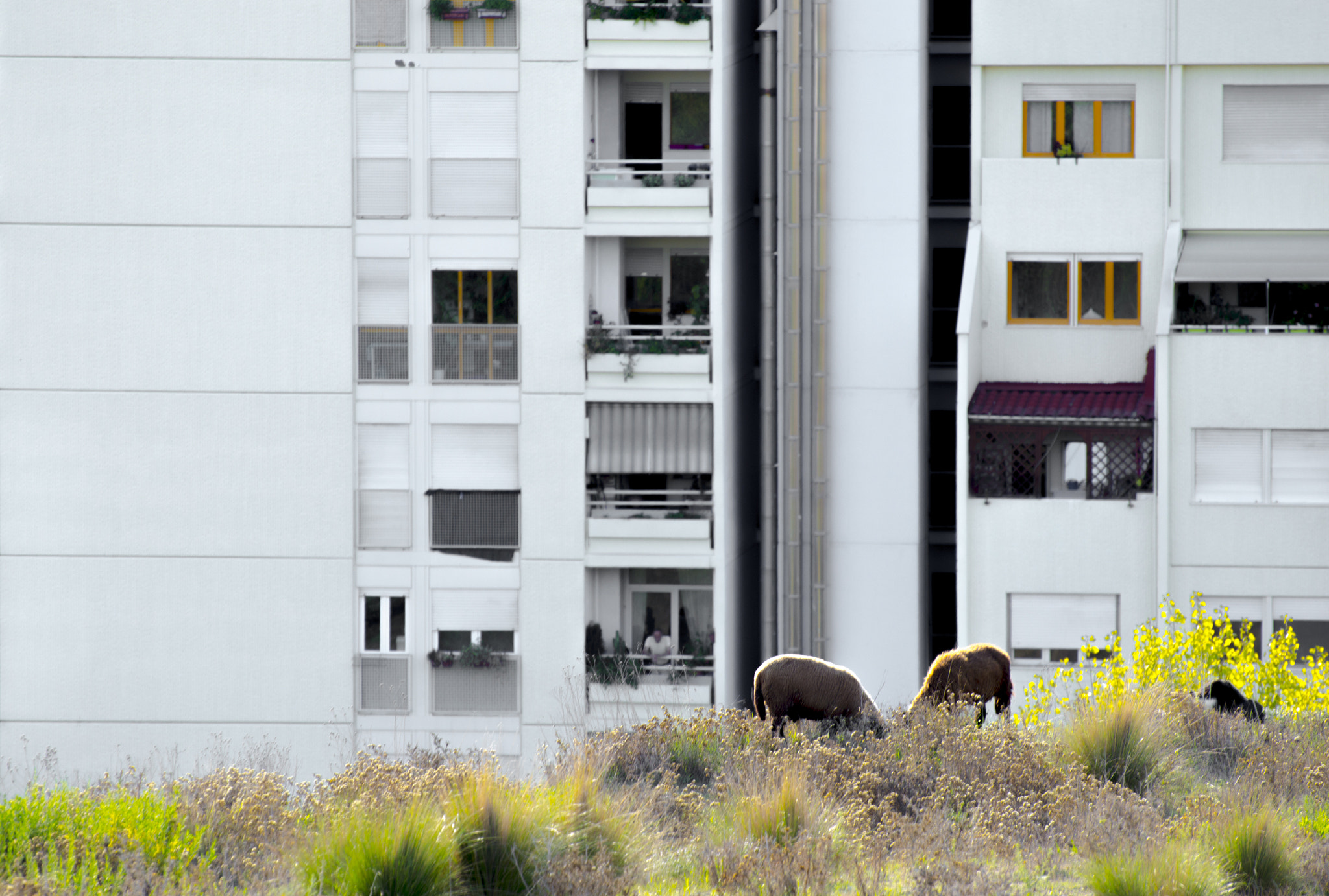 Nikon D3200 sample photo. Mm00a-1609 valaur anm bld pec d3200 photography