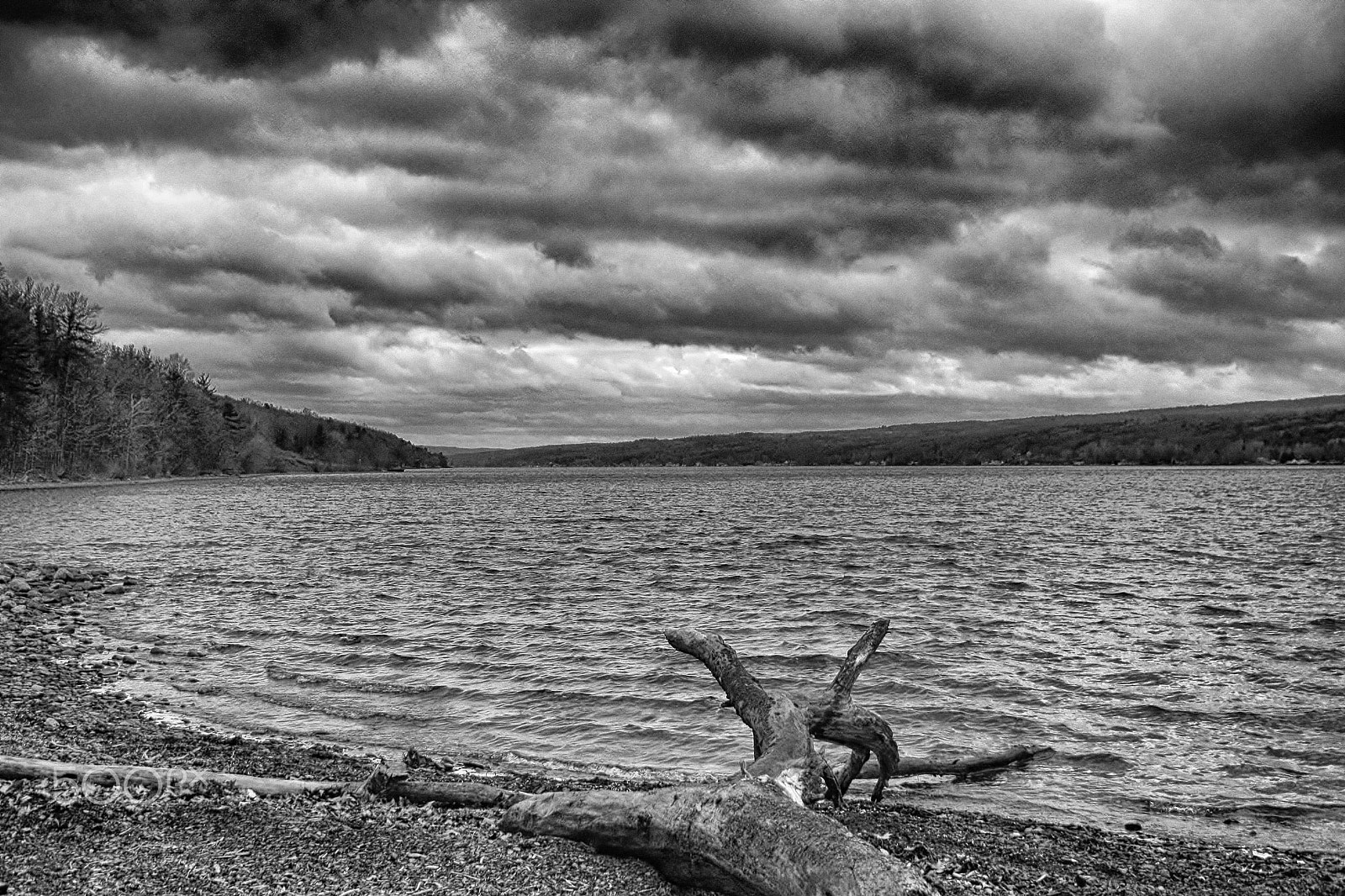 Sigma 18-50mm F2.8-4.5 DC OS HSM sample photo. Cold front photography