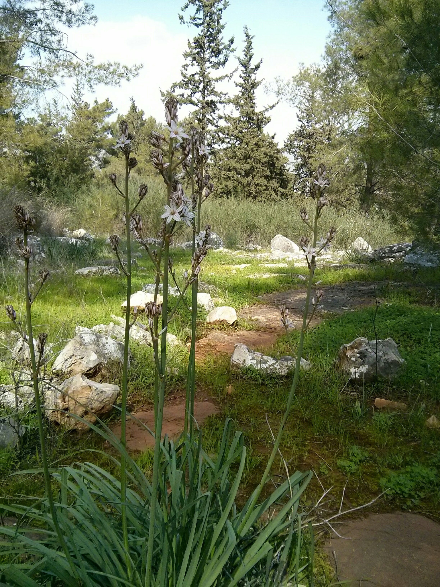 LG Nexus 4 sample photo