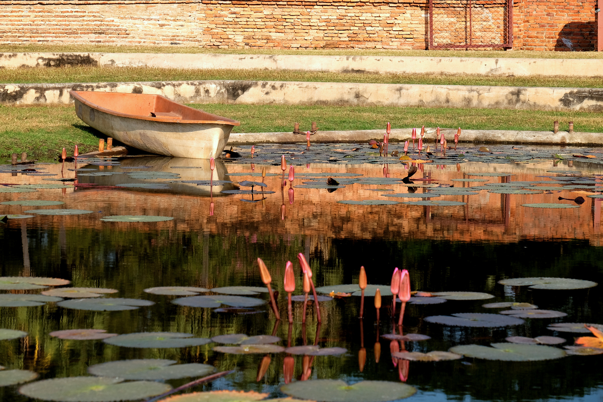 Fujifilm X-T10 + Fujifilm XF 18-135mm F3.5-5.6 R LM OIS WR sample photo. Pond photography