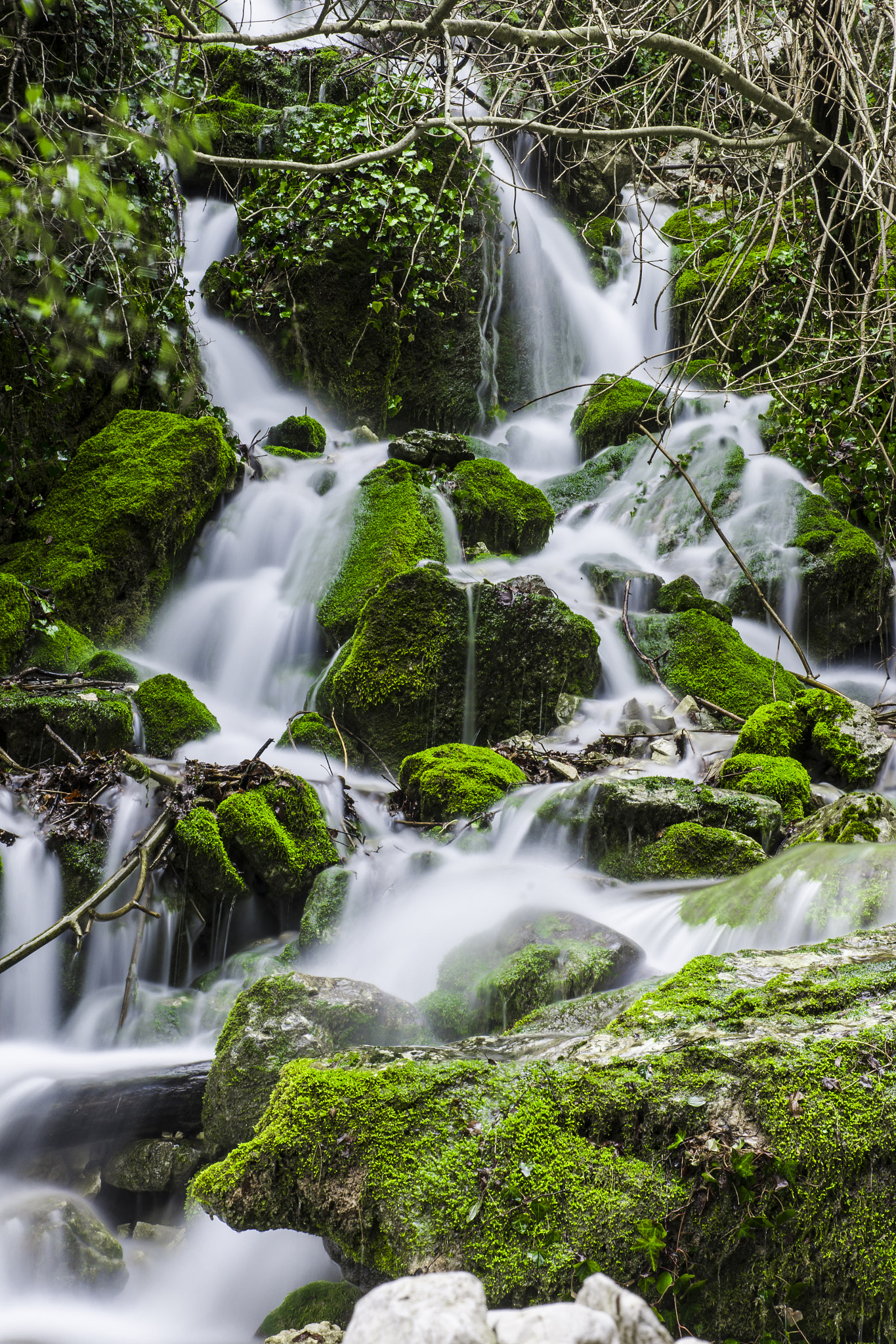 Pentax K-5 sample photo. Verde photography
