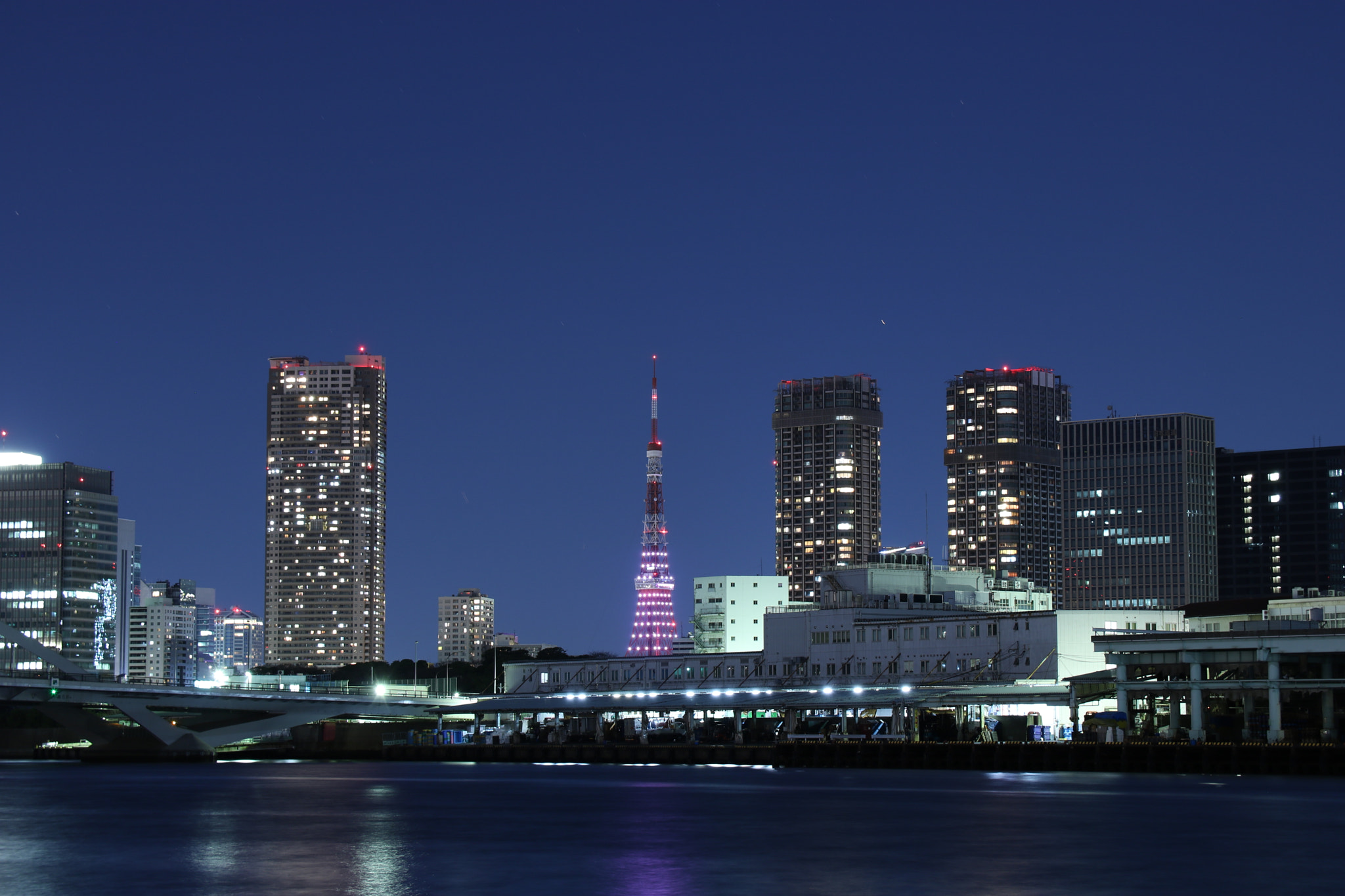Canon EOS 760D (EOS Rebel T6s / EOS 8000D) + Canon EF-S 17-55mm F2.8 IS USM sample photo. Tokyo tower photography