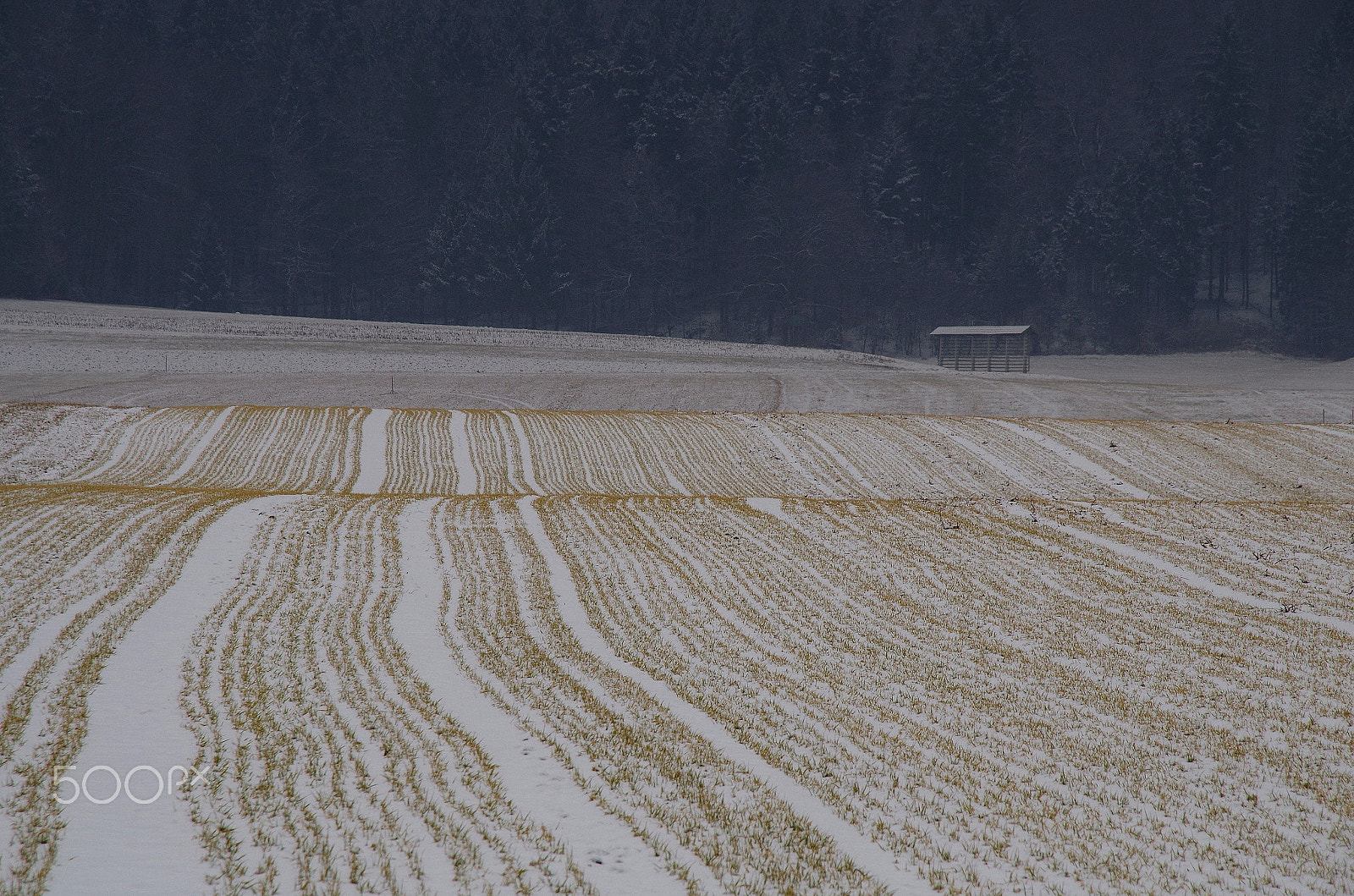 Pentax K-50 sample photo. Winter scene 1 photography
