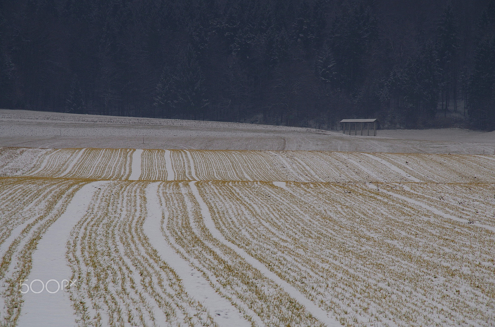 Pentax K-50 + Sigma 50-200mm F4-5.6 DC OS HSM sample photo. Winter scene 1 photography