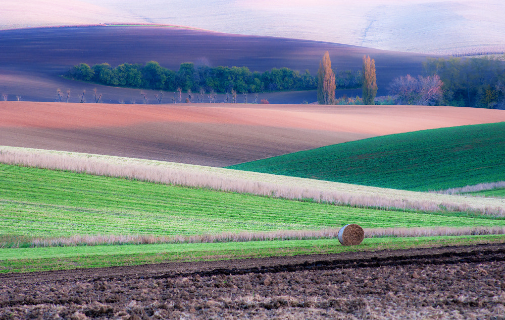 Sony Alpha DSLR-A700 sample photo. South moravia photography