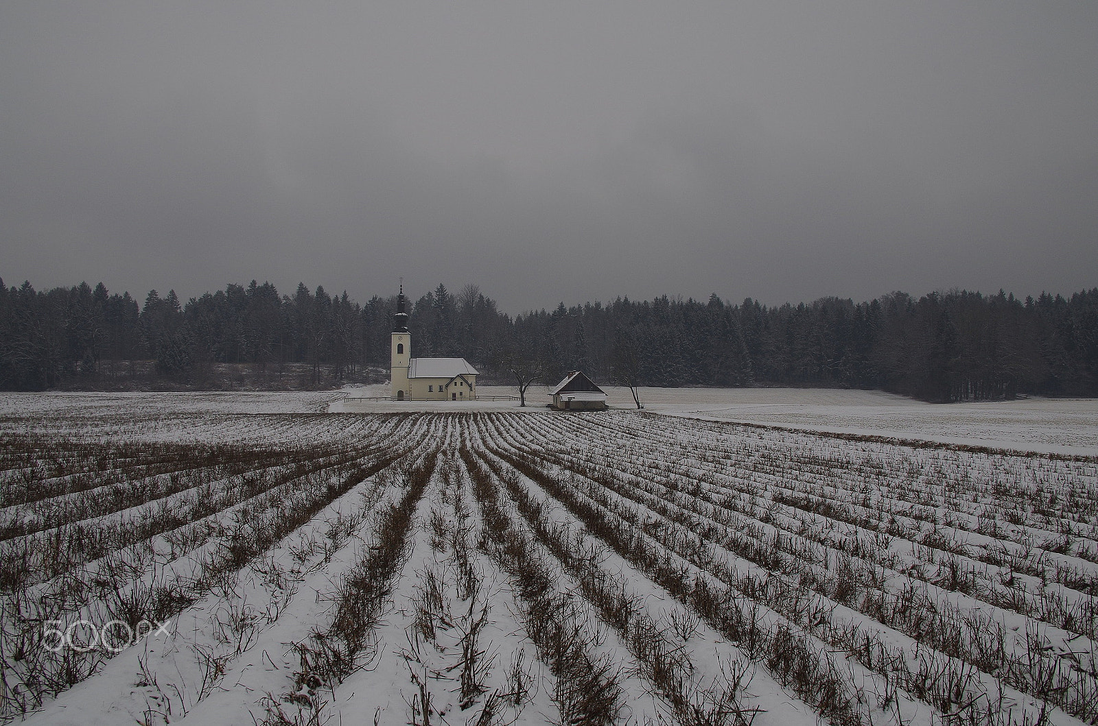 Pentax K-50 + Sigma Lens (8 255) sample photo. Winter scene 2 photography