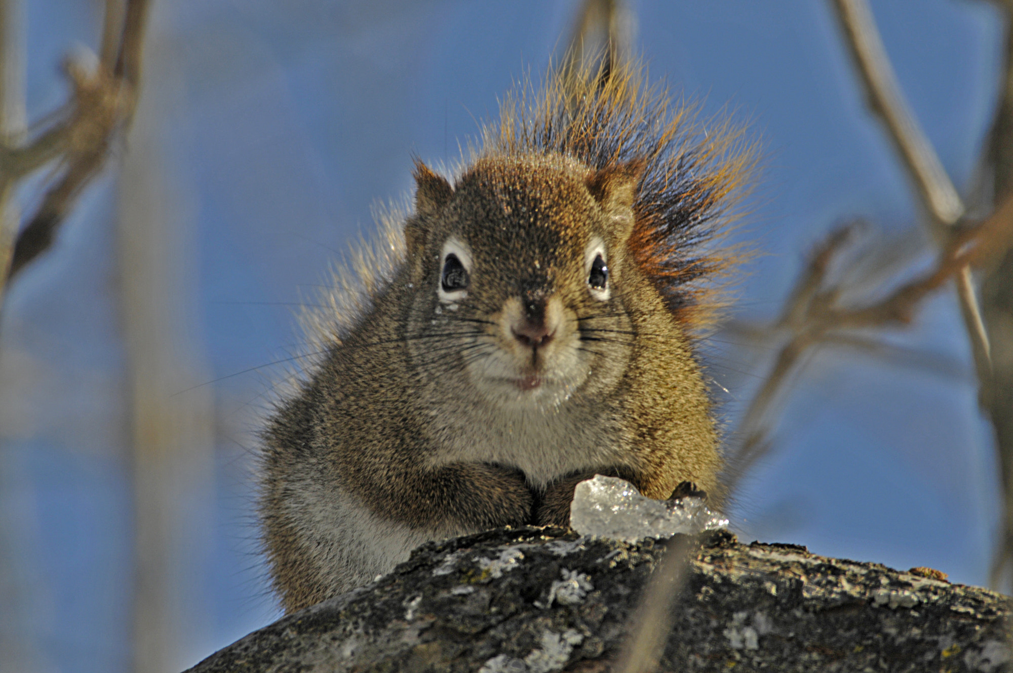 Nikon D300S sample photo. Oups un photographe photography