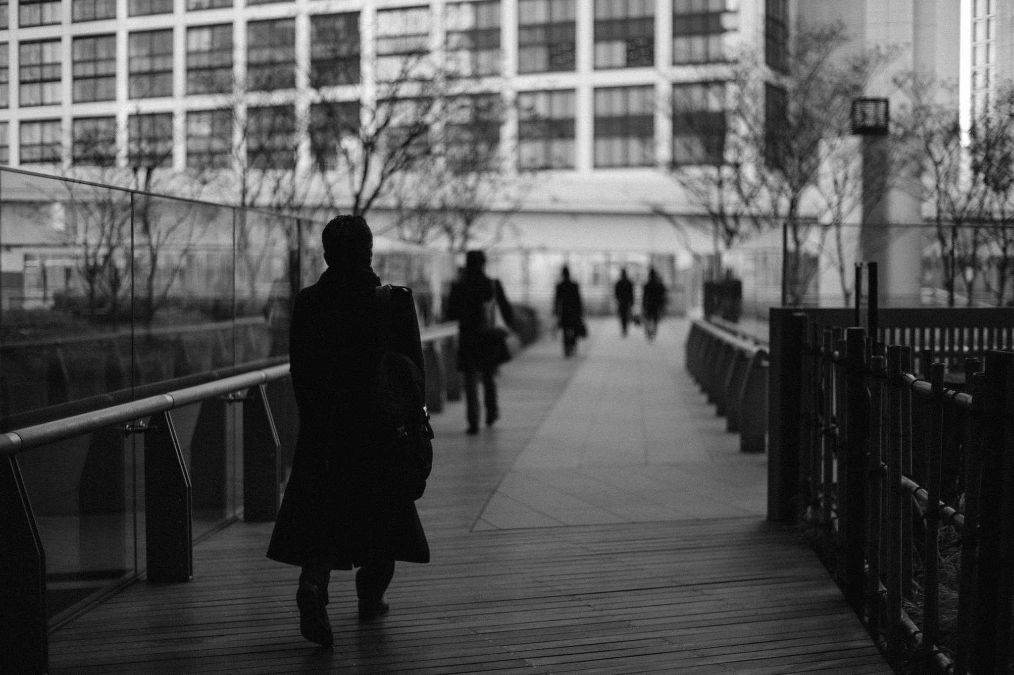 Leica M9 + Noctilux-M 50mm f/1 sample photo. Travel to work photography