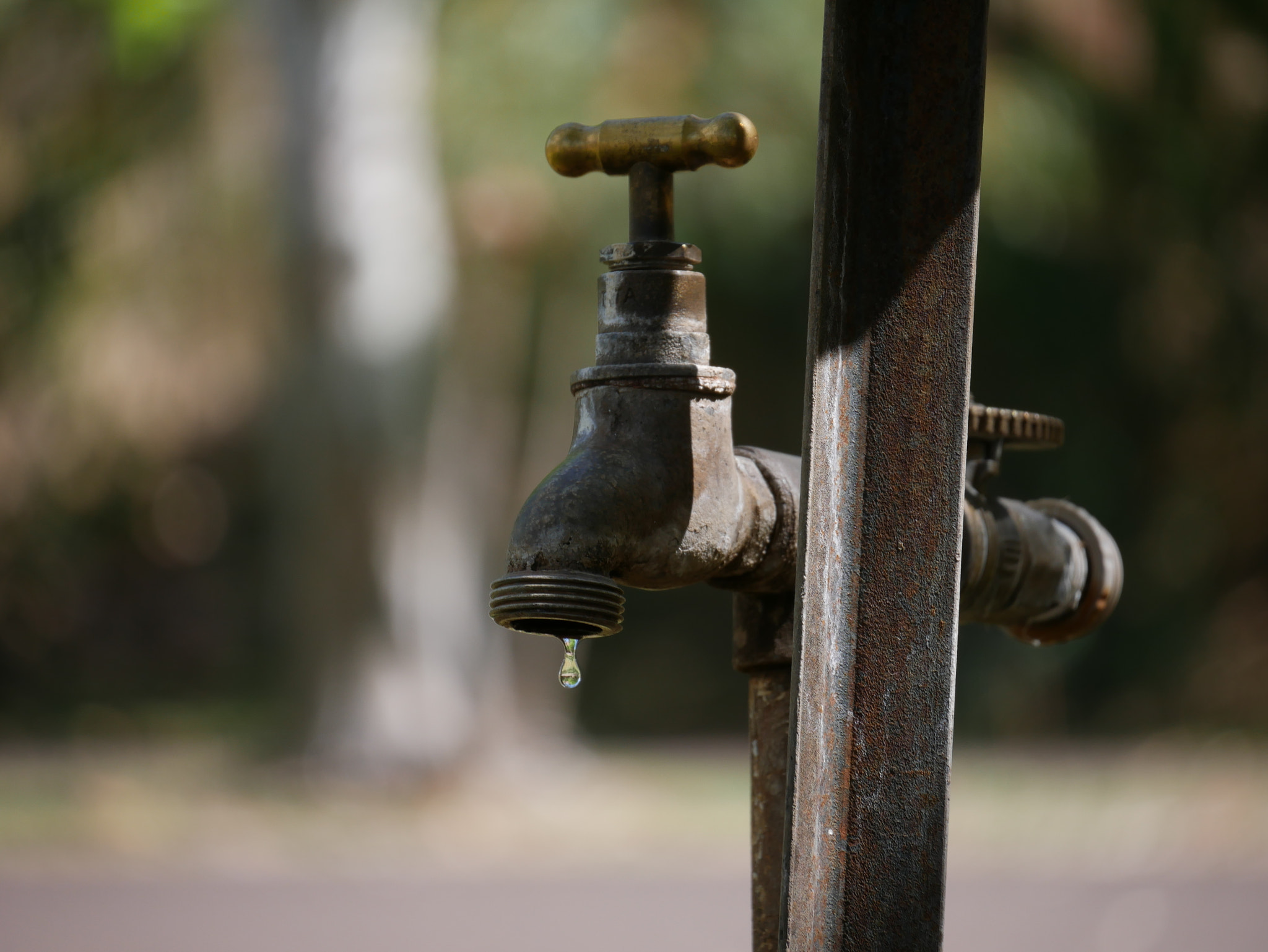 Panasonic Lumix DMC-G7 sample photo. Drip photography