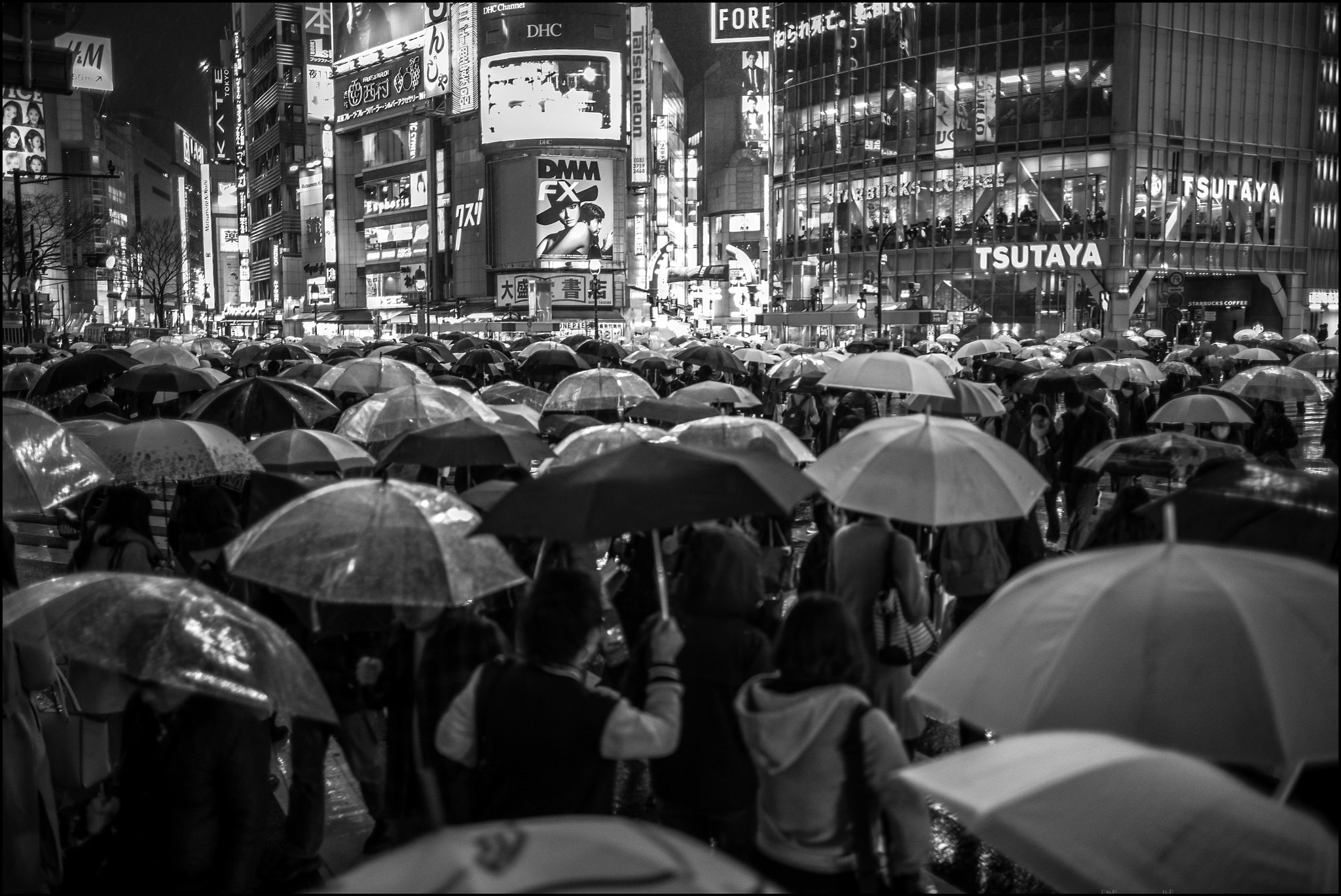 Summilux-M 1:1.4/28 ASPH. sample photo. Shelter photography