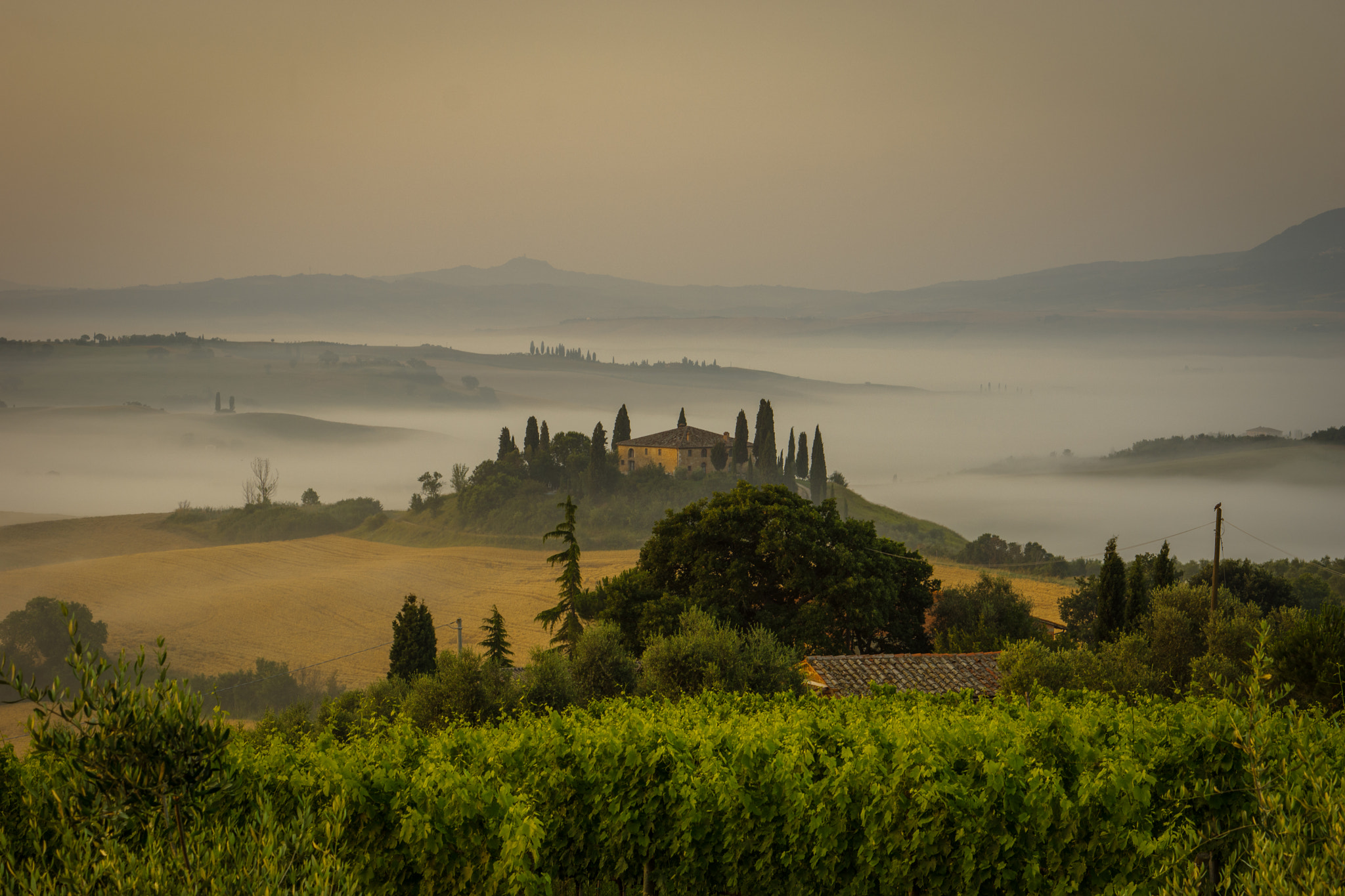 Sony Alpha NEX-7 + E 50mm F1.8 OSS sample photo. Foggy sunrise photography