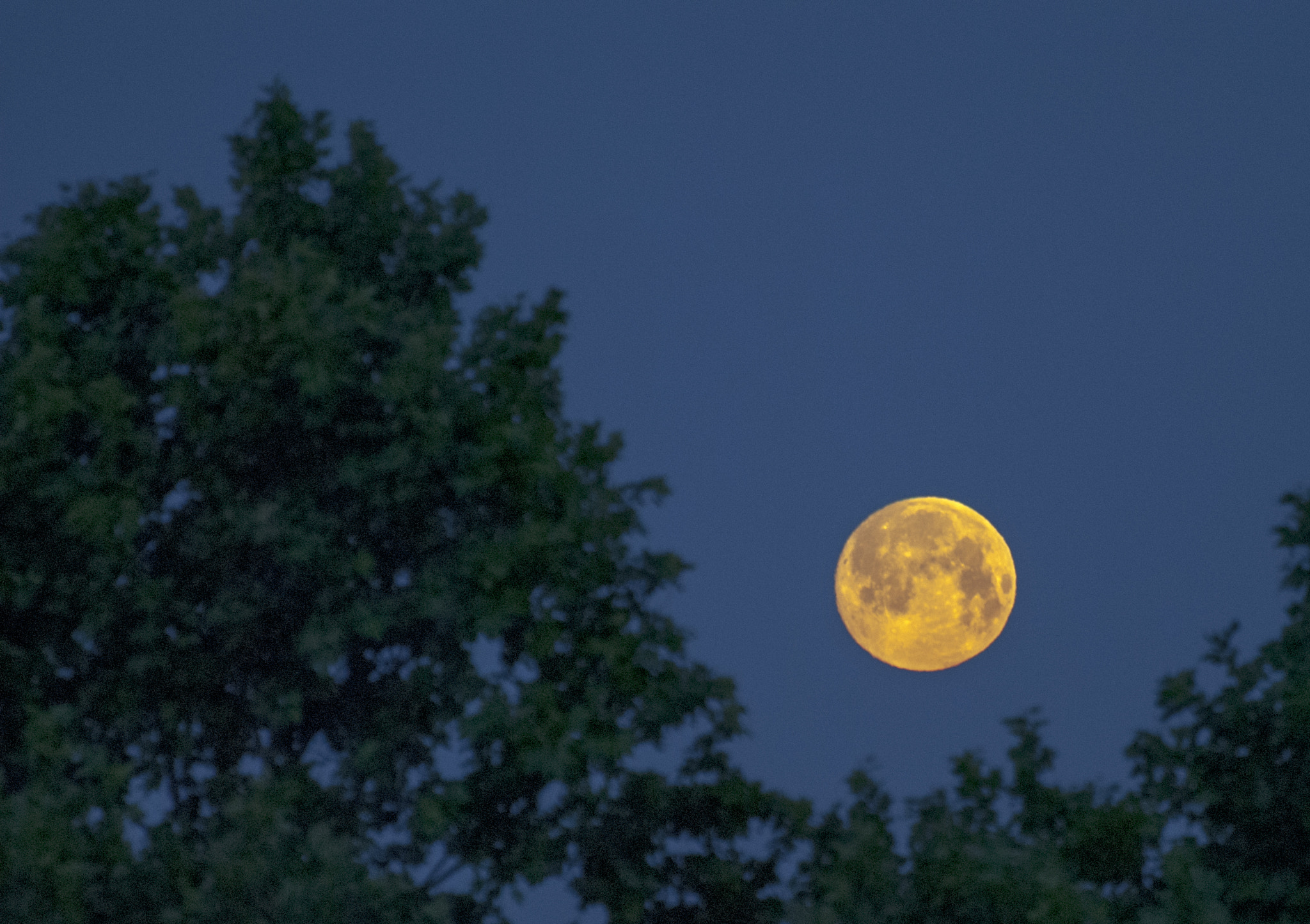 Nikon D3000 sample photo. Mm00a-1605 rsc astro moon d3000 photography