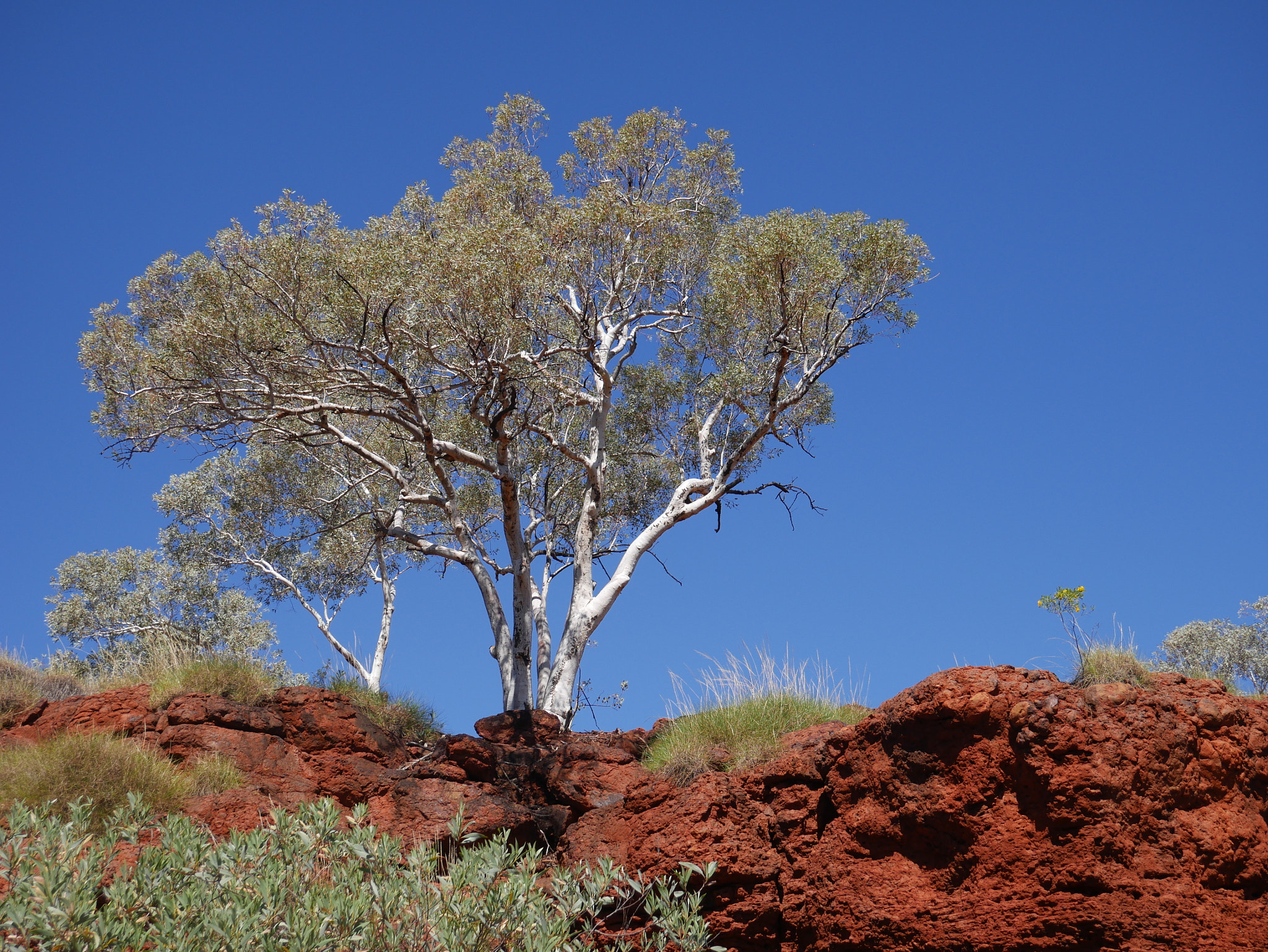 Panasonic Lumix DMC-G7 sample photo. Outback australia photography