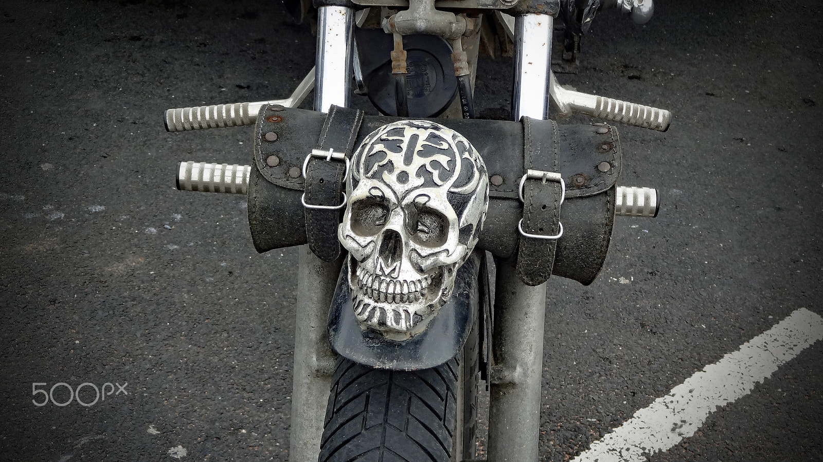 Sony DSC-WX100 sample photo. Skull photography
