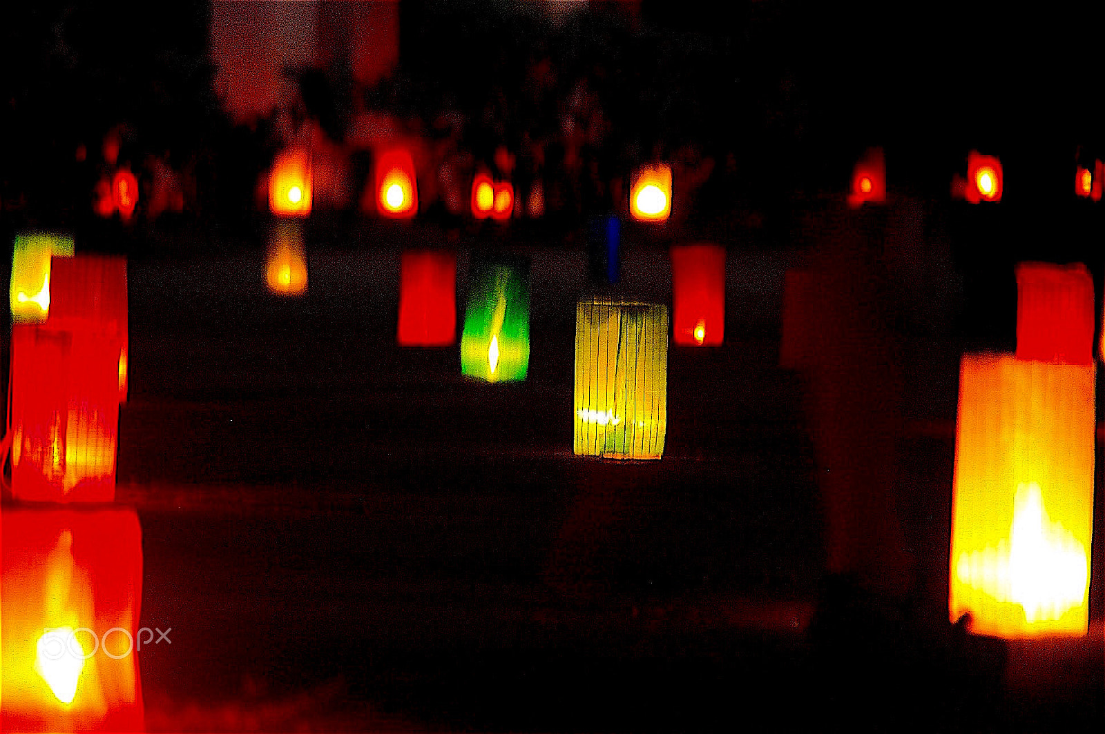 Canon EOS 40D sample photo. A light in the dark photography