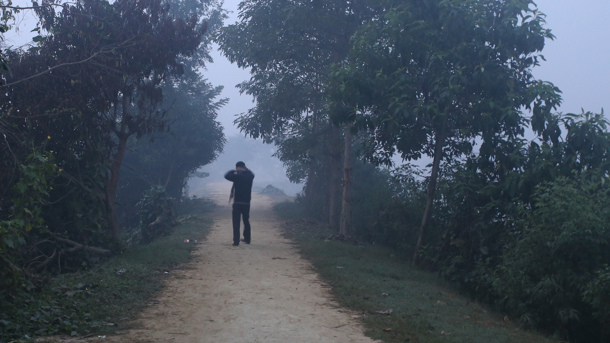 Canon 24-70mm sample photo. Morning walk in the village photography