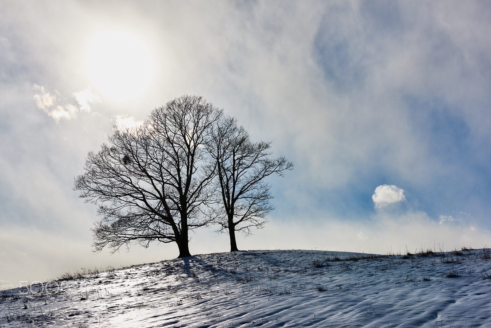 Nikon AF-S Nikkor 24-70mm F2.8G ED sample photo. Frozen hill photography