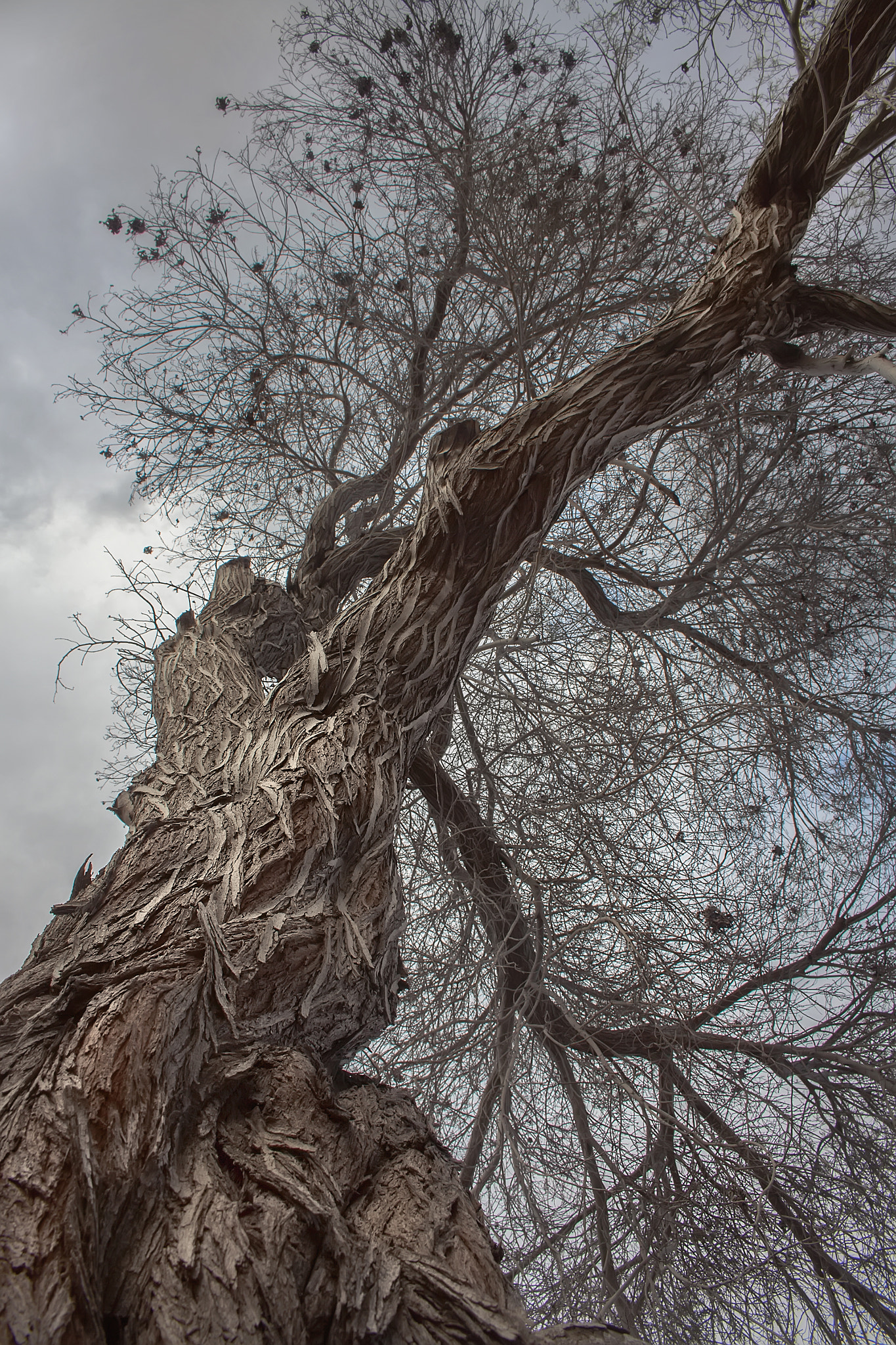 Canon EOS 50D sample photo. Timeline photography