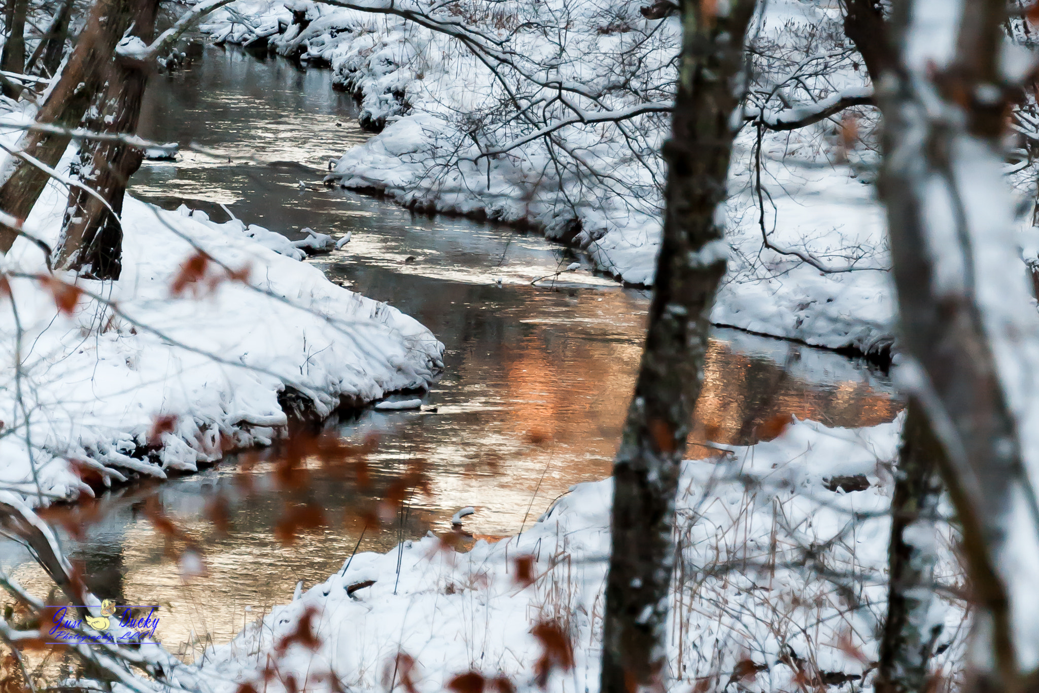 Nikon D3 sample photo. Snow day photography