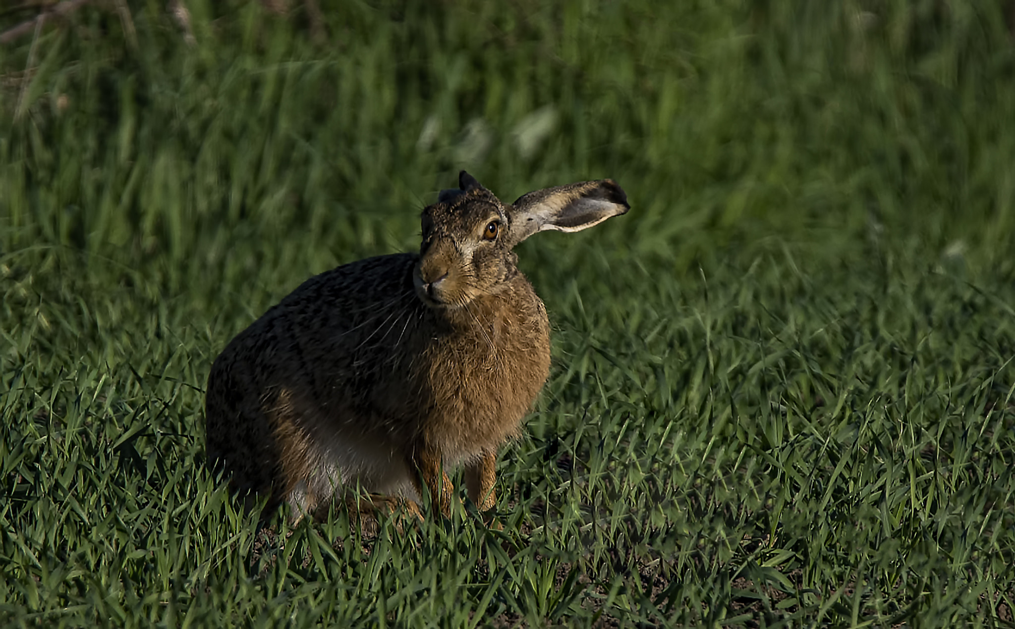 Nikon D600 sample photo. What next? photography