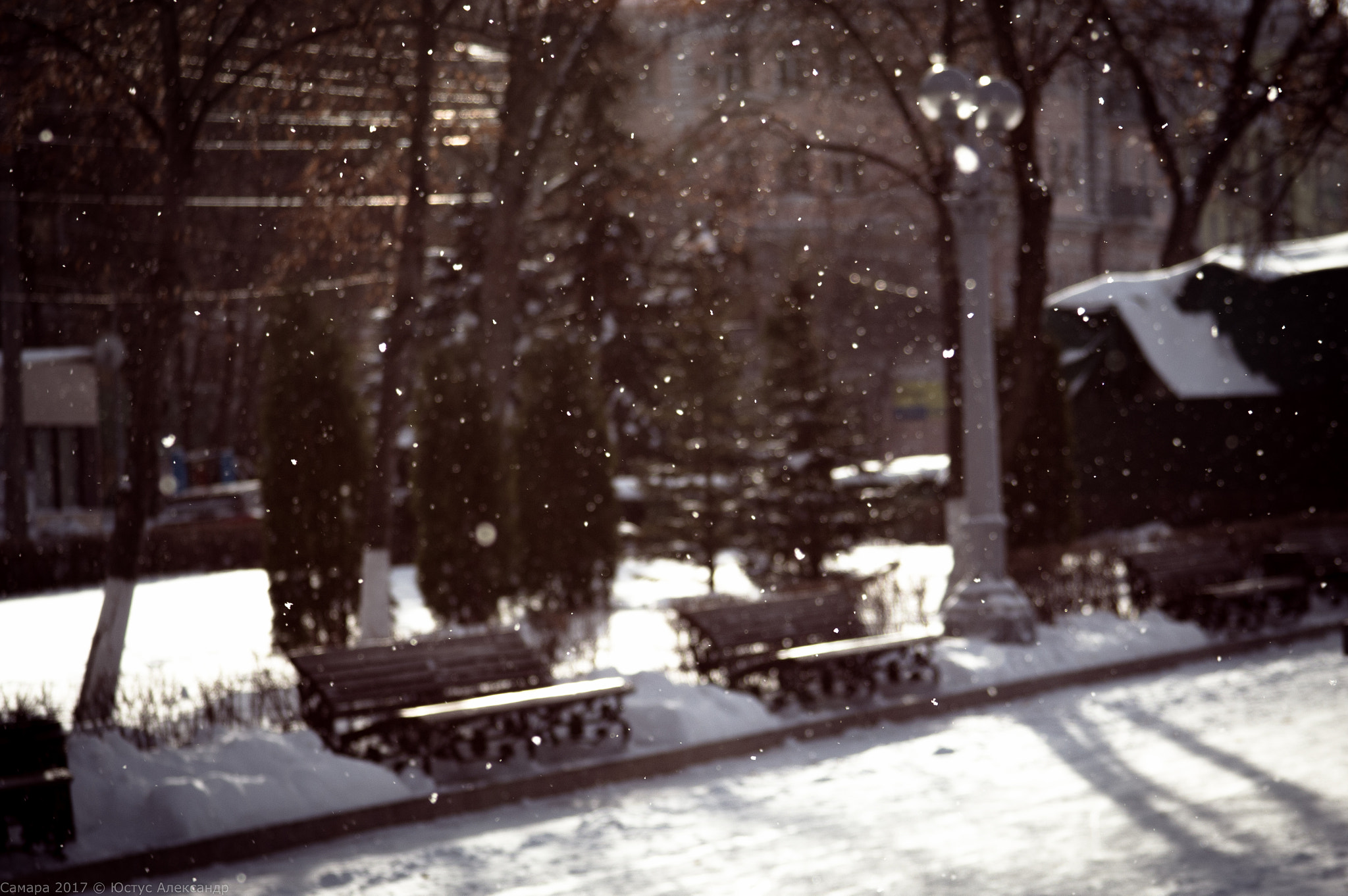 Canon EF 28-135mm F3.5-5.6 IS USM sample photo. Img photography