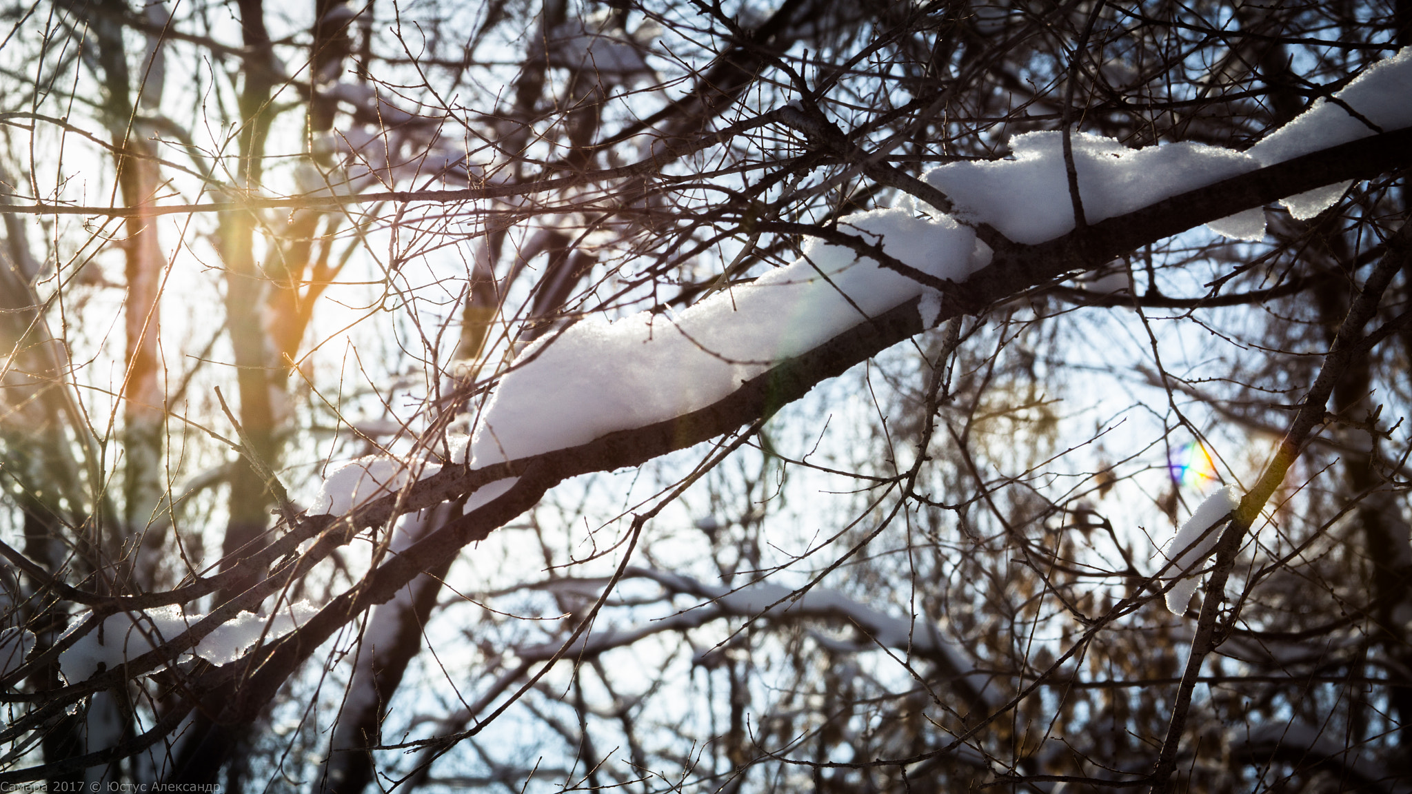 Canon EF 28-135mm F3.5-5.6 IS USM sample photo. Img photography