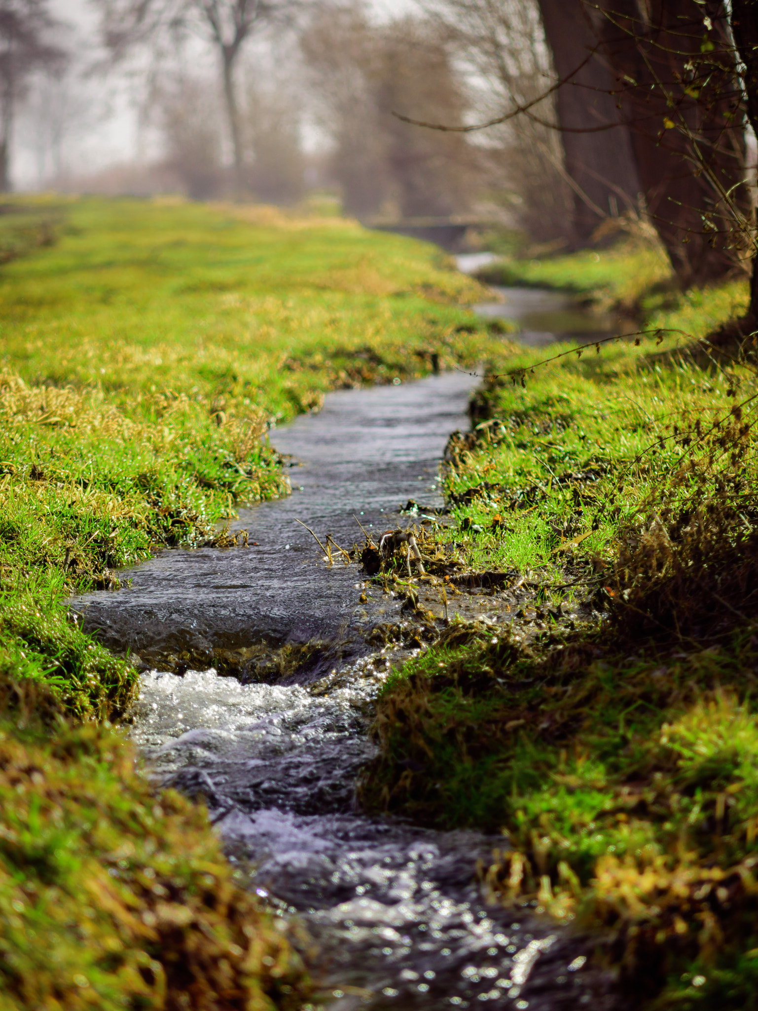 Nikon D7200 sample photo. Creek. photography