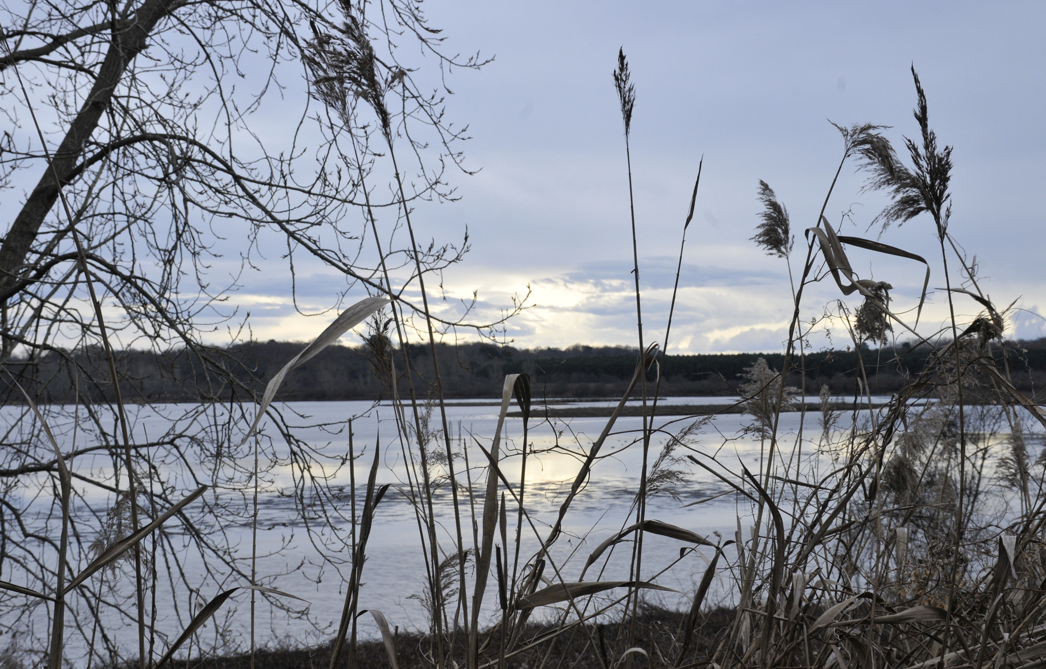 Nikon D300 sample photo. Lever du jour sur le marais d'orx photography