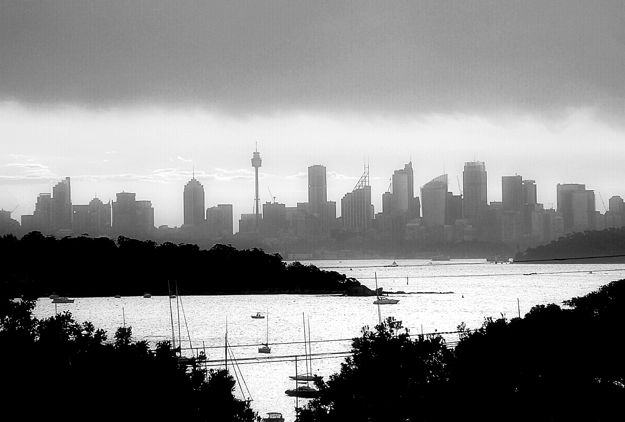 Nikon D50 sample photo. Distant downtown photography
