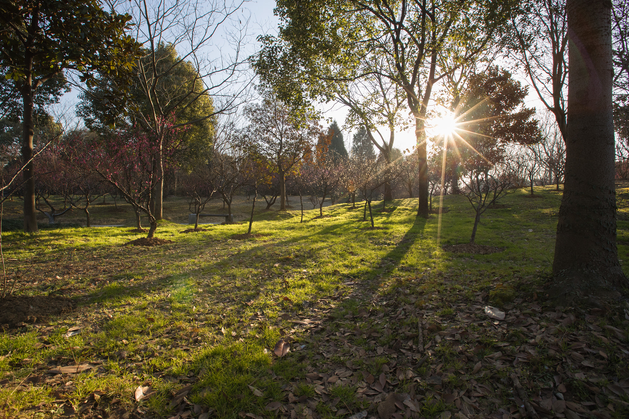 Canon EF 16-35mm F2.8L II USM sample photo. Spring photography