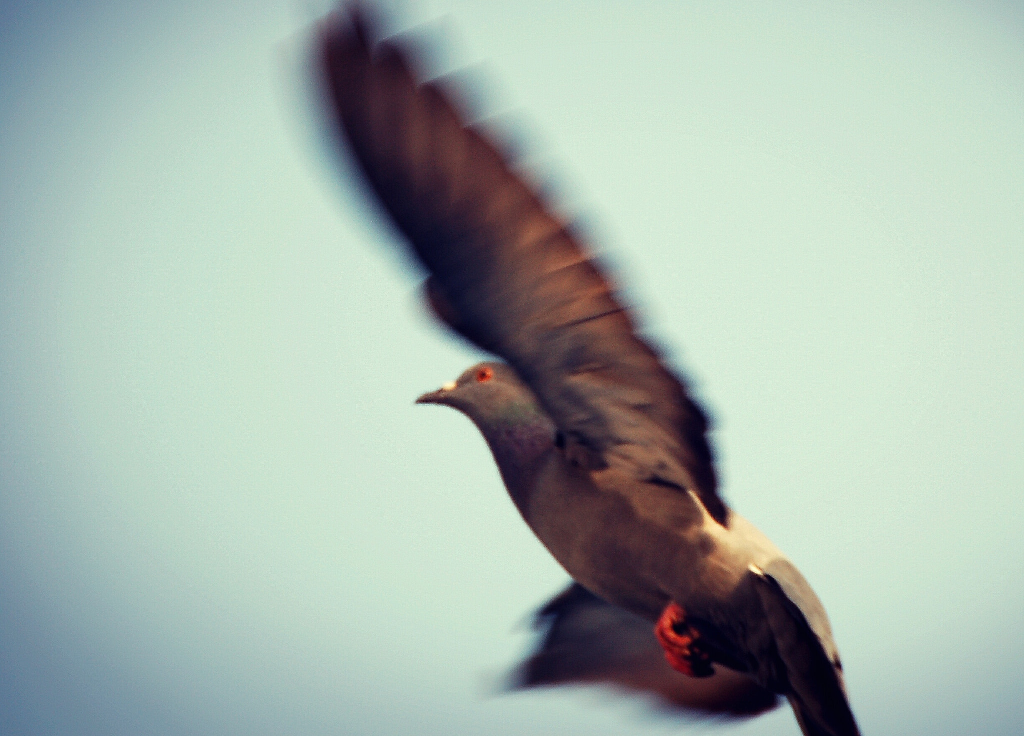 Nikon D50 sample photo. Dare  photography