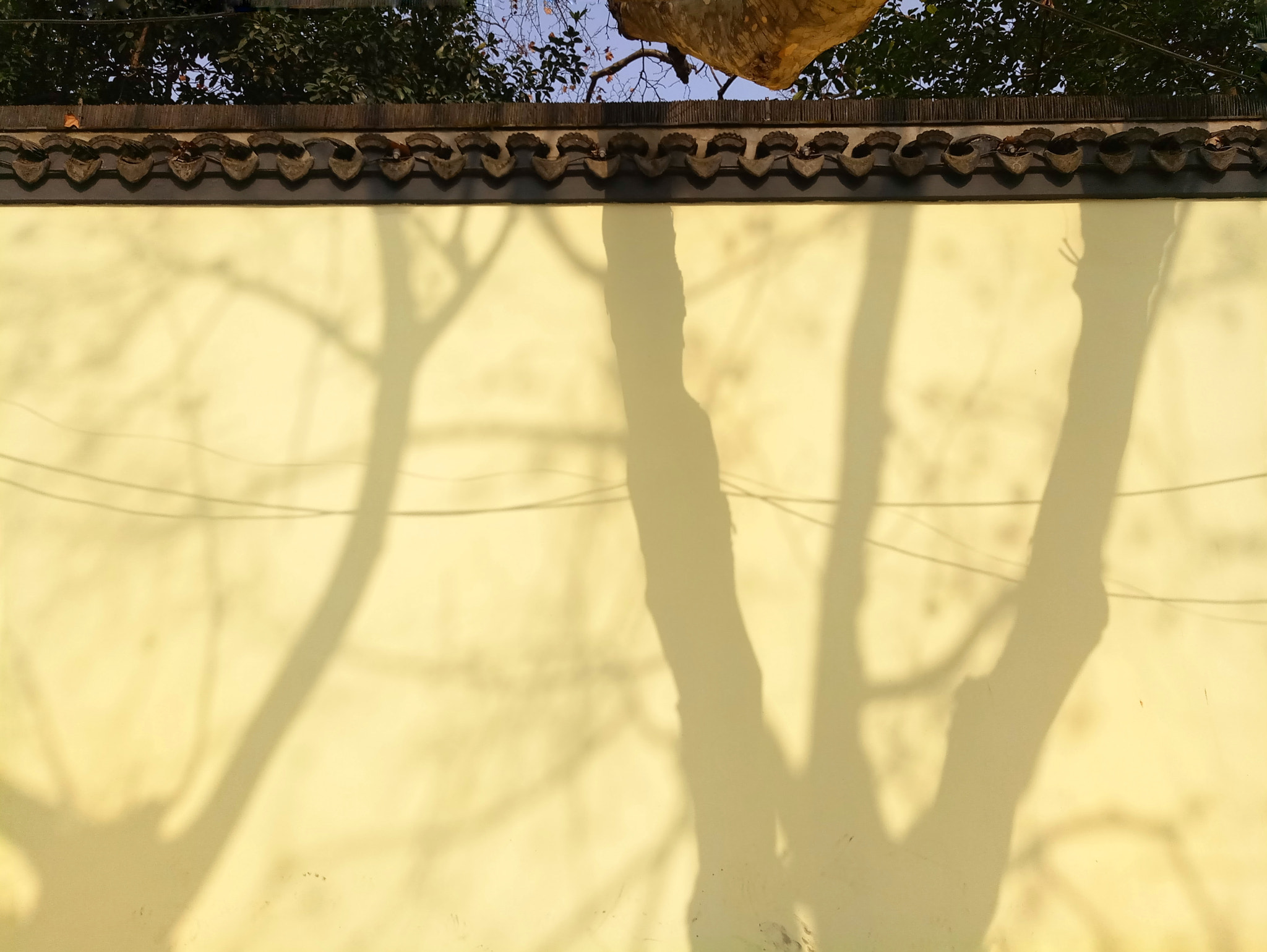 Meizu MX6 sample photo. The yellow wall photography