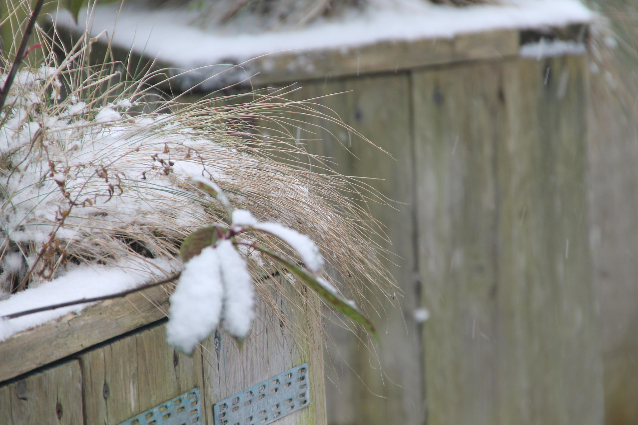Sigma 18-250mm F3.5-6.3 DC OS HSM sample photo