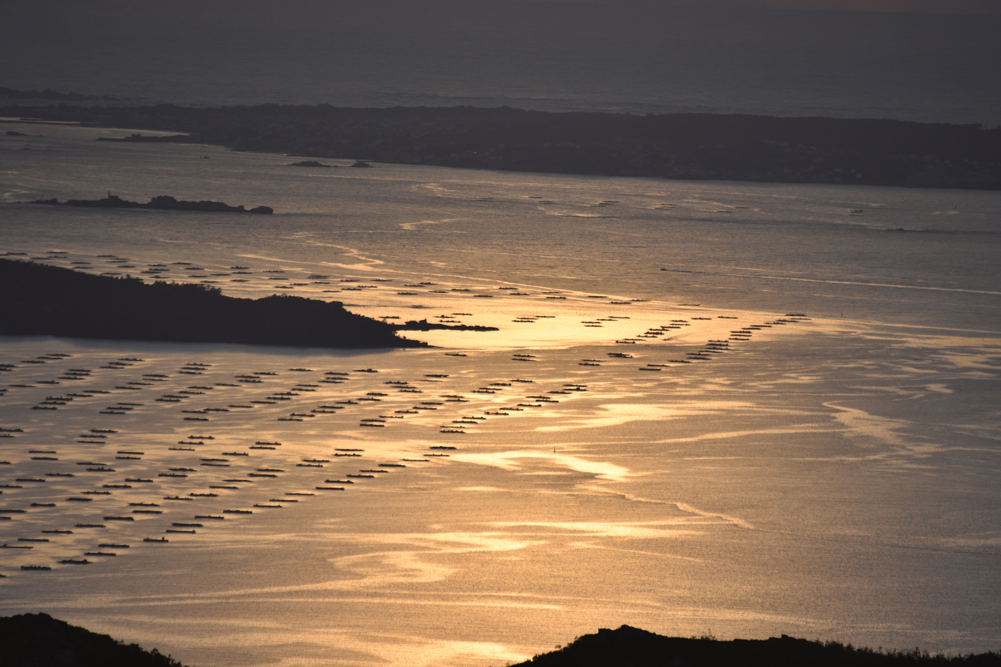 Nikon D7200 sample photo
