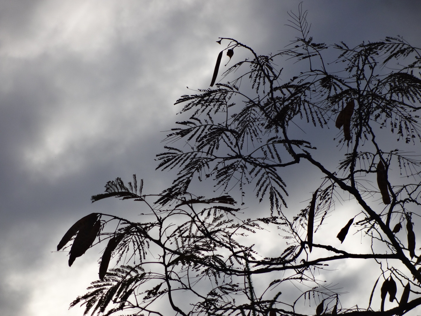 Sony Cyber-shot DSC-QX10 sample photo. Nuages photography