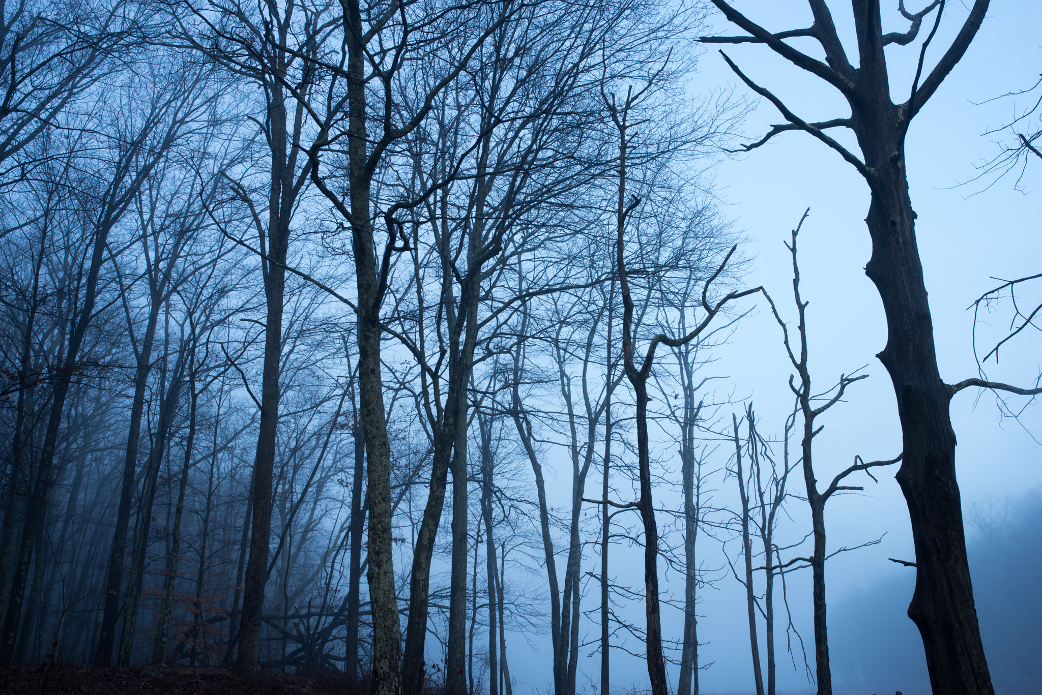 Pentax K-1 + Sigma 35mm F1.4 DG HSM Art sample photo. Blue morning photography