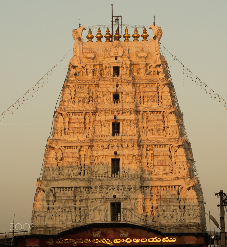 Sony SLT-A58 sample photo. Padmavathy shrine photography