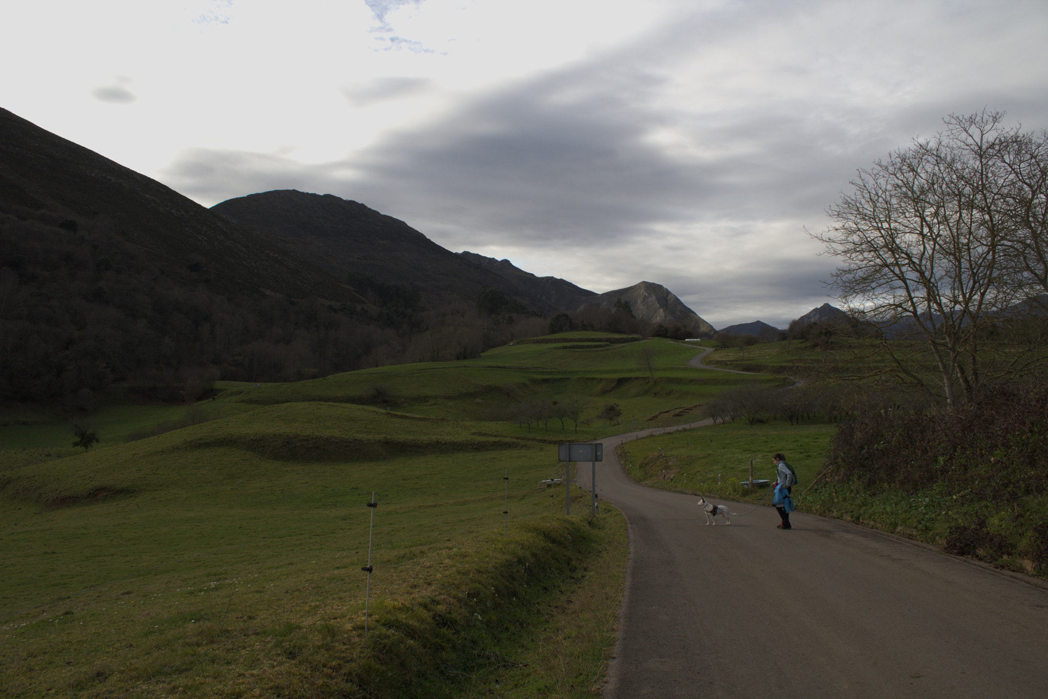 Canon EOS 750D (EOS Rebel T6i / EOS Kiss X8i) sample photo. Img photography