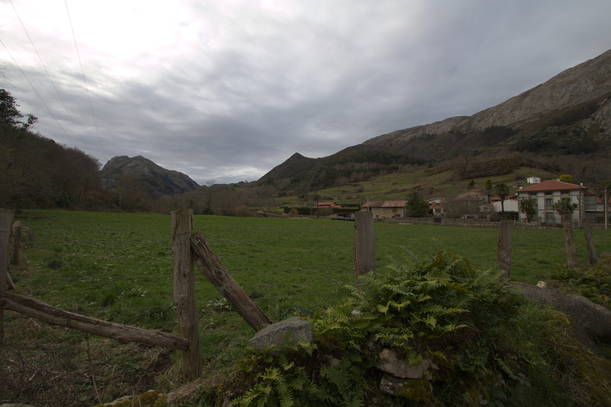 Canon EOS 750D (EOS Rebel T6i / EOS Kiss X8i) sample photo. Img photography