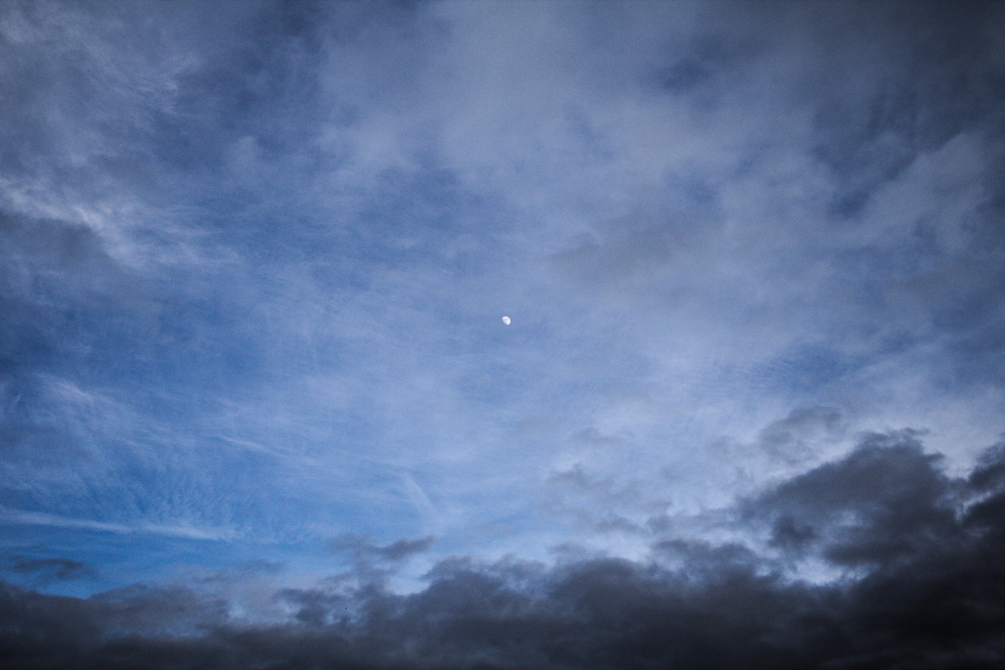 Canon EOS 750D (EOS Rebel T6i / EOS Kiss X8i) sample photo. Img photography