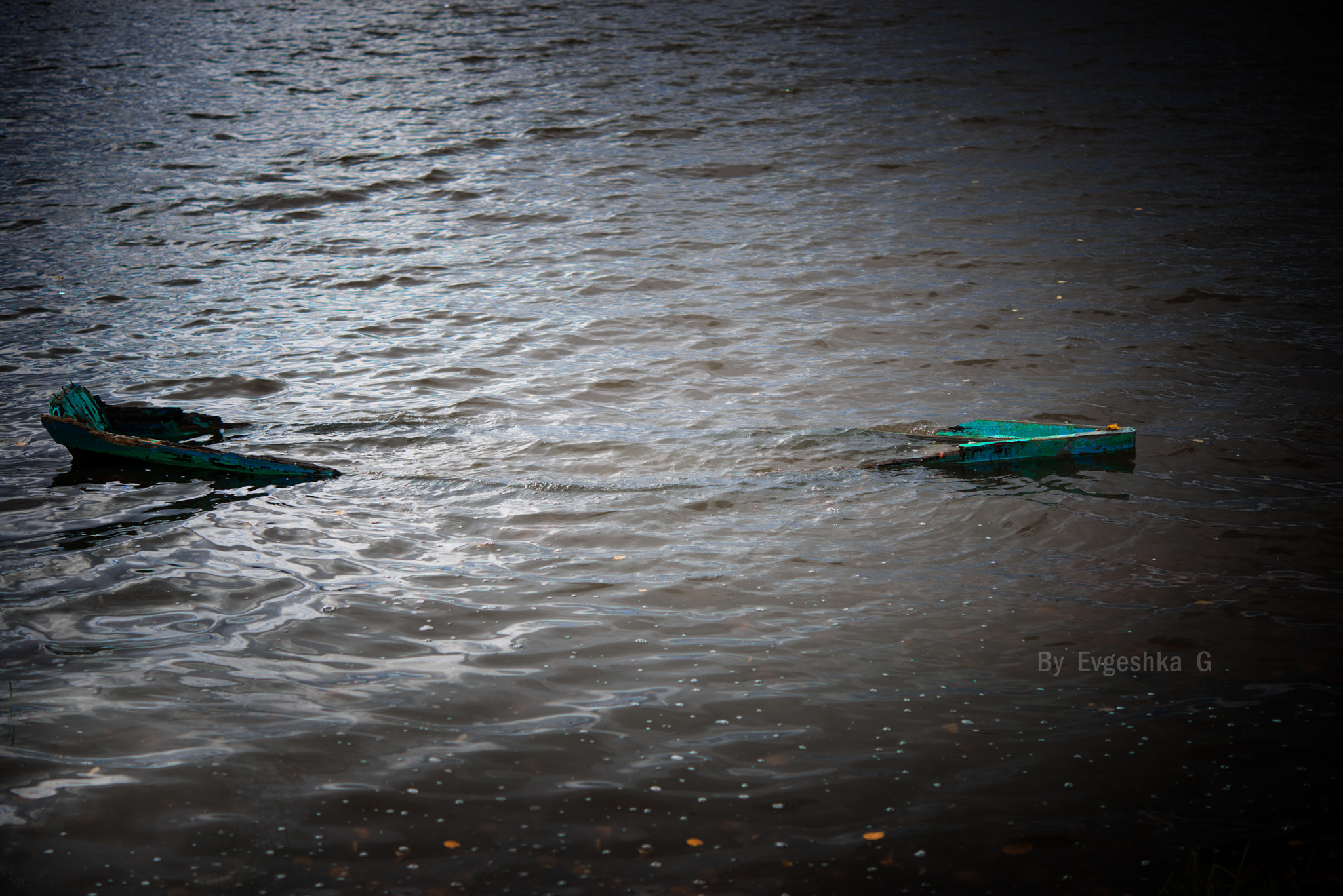 Nikon AF-S Micro-Nikkor 60mm F2.8G ED sample photo. The sunk boat photography