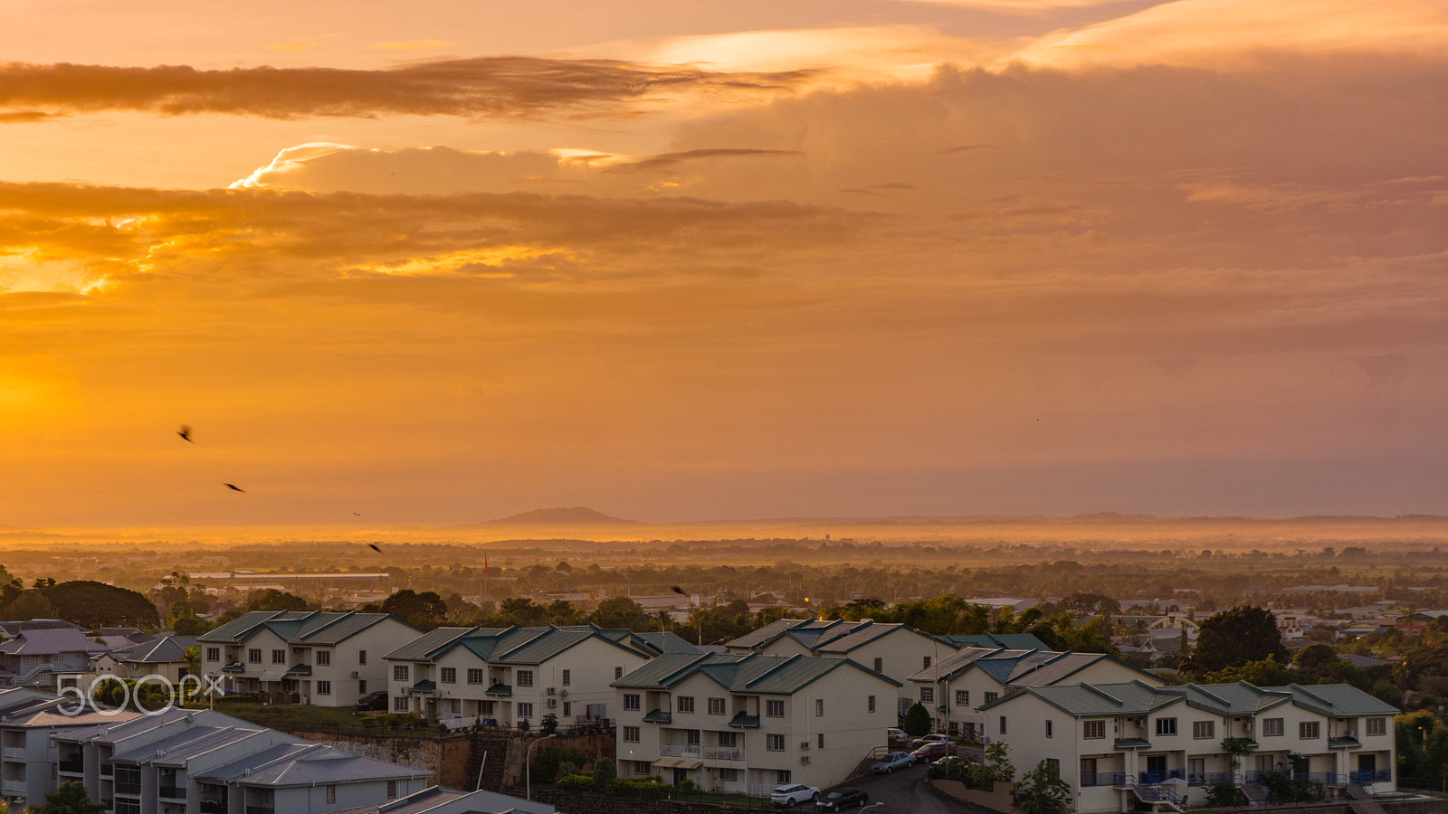 Sony Alpha NEX-7 + Sony E 18-55mm F3.5-5.6 OSS sample photo. Good morning trinidad photography