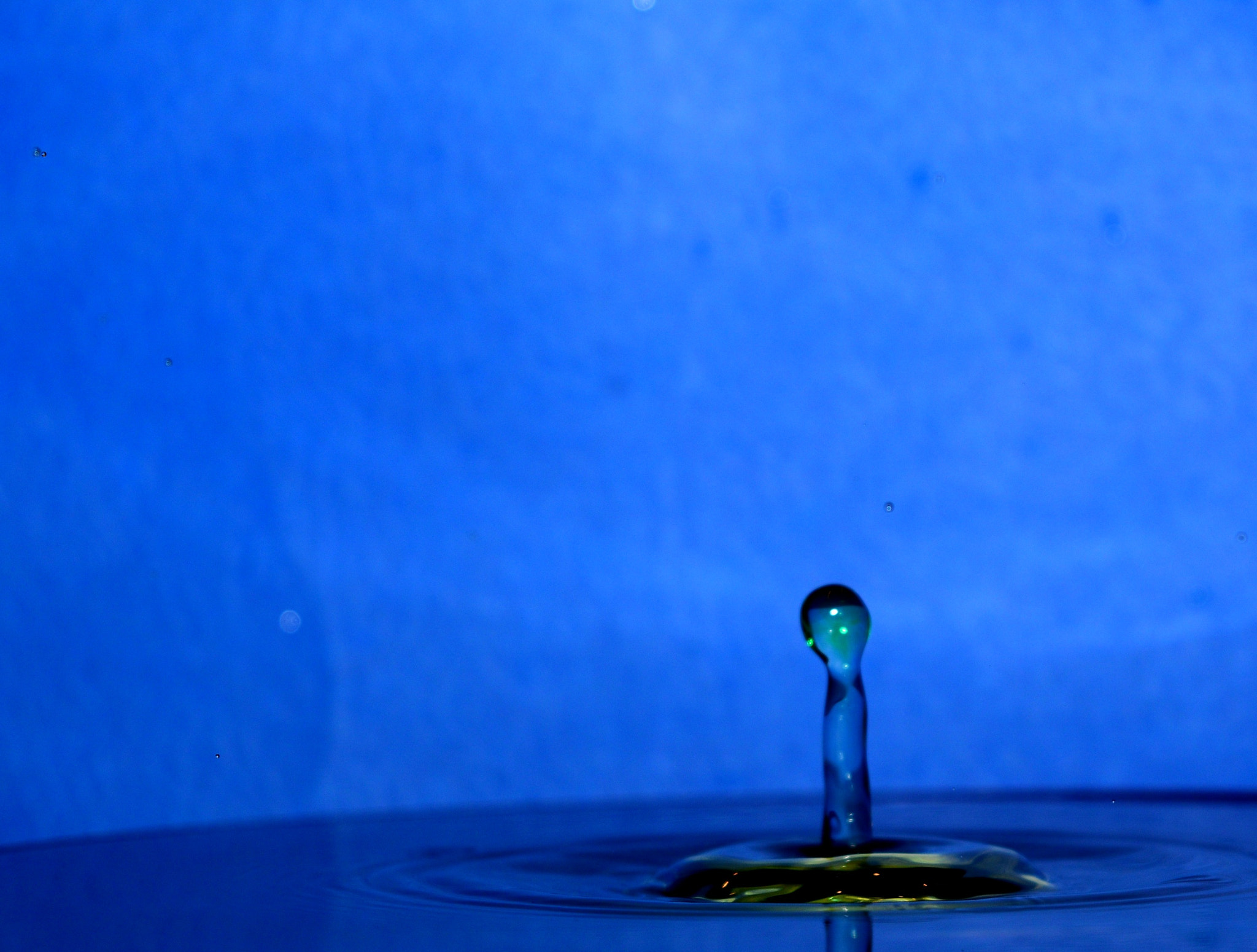 Nikon D7200 sample photo. Dsc photography