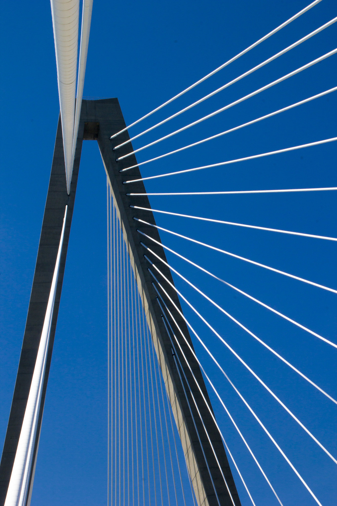 Canon EOS 550D (EOS Rebel T2i / EOS Kiss X4) sample photo. Charleston bridge photography